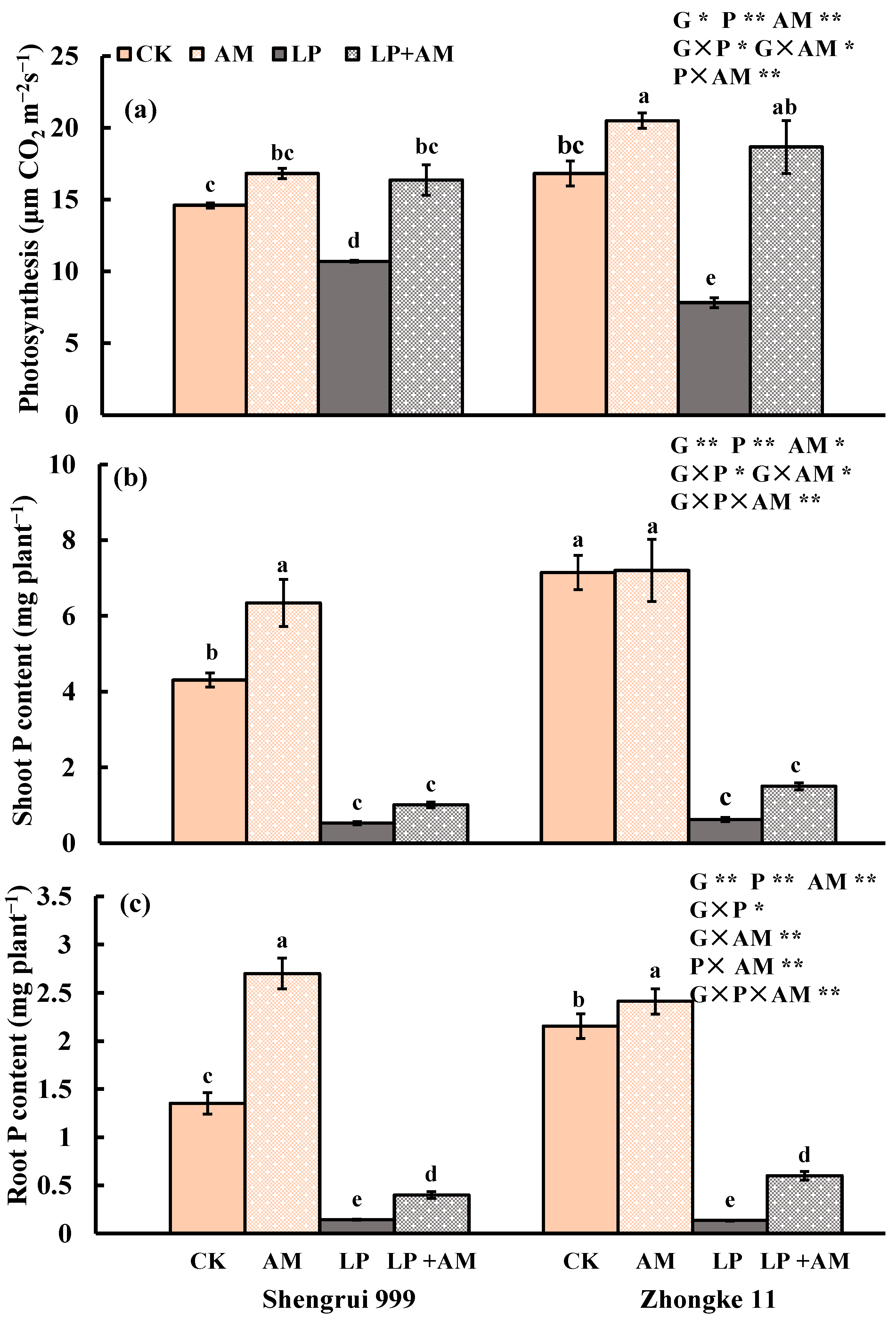 Plants 11 03105 g002