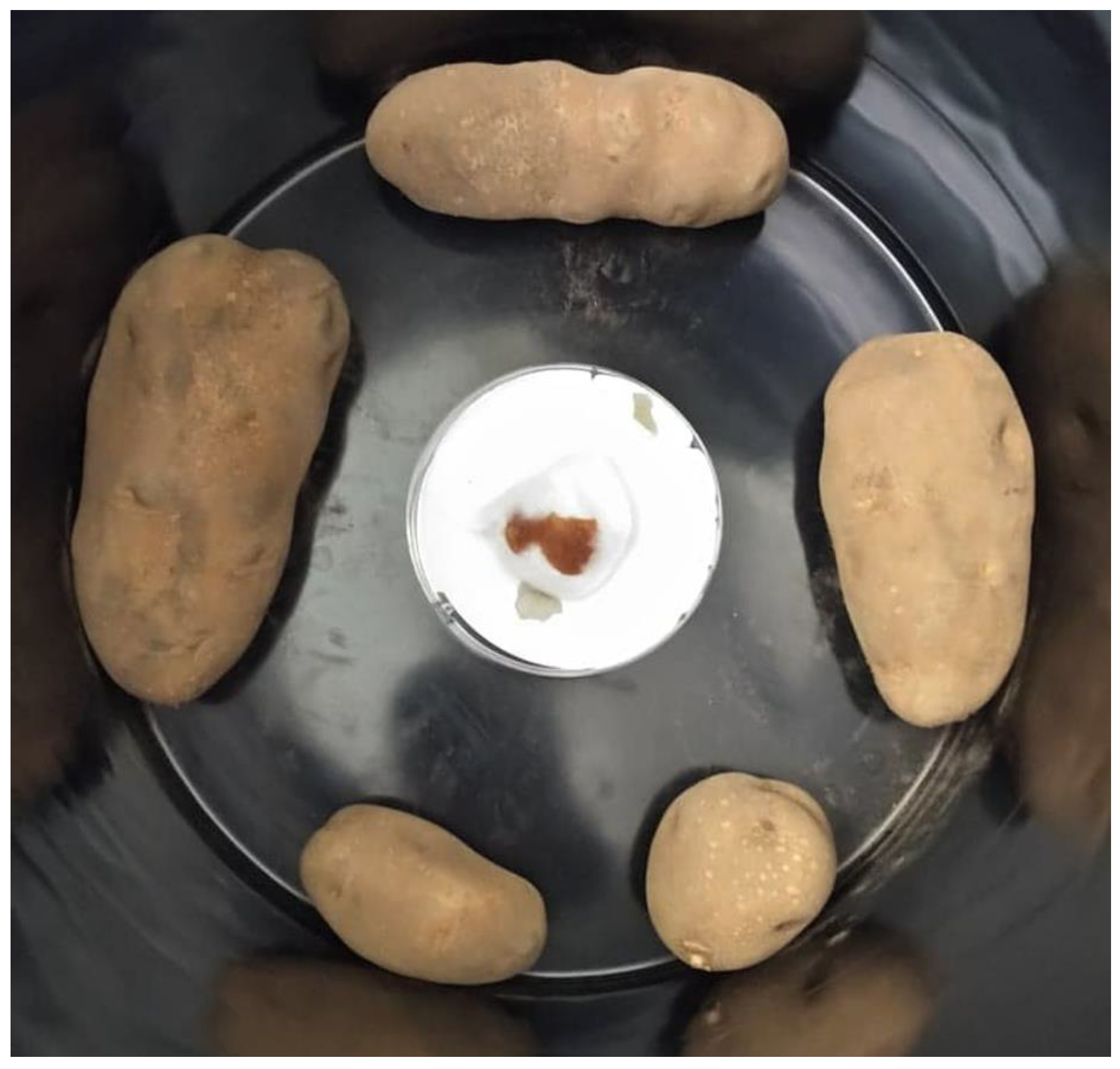 Plants 11 03109 g003