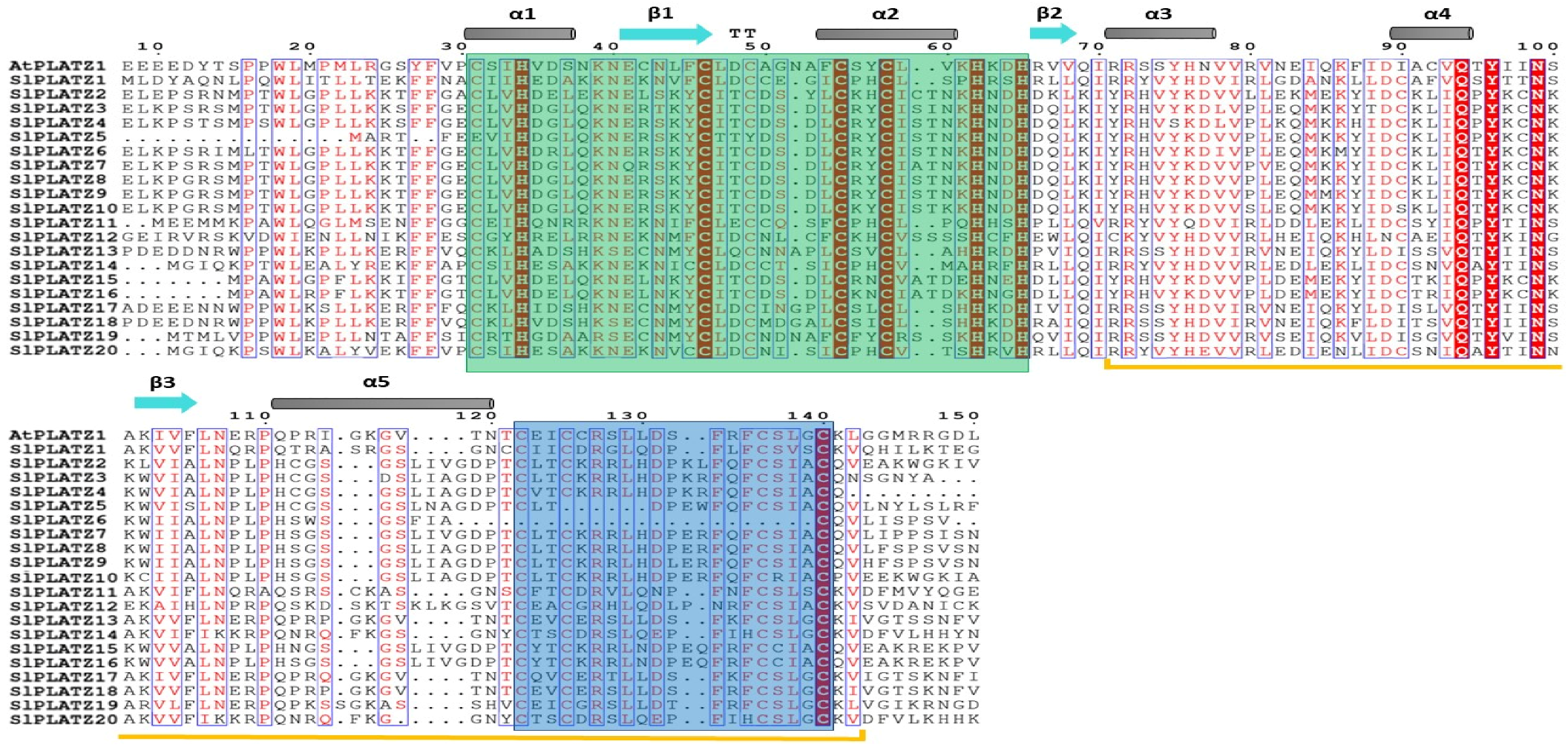 Plants 11 03112 g001
