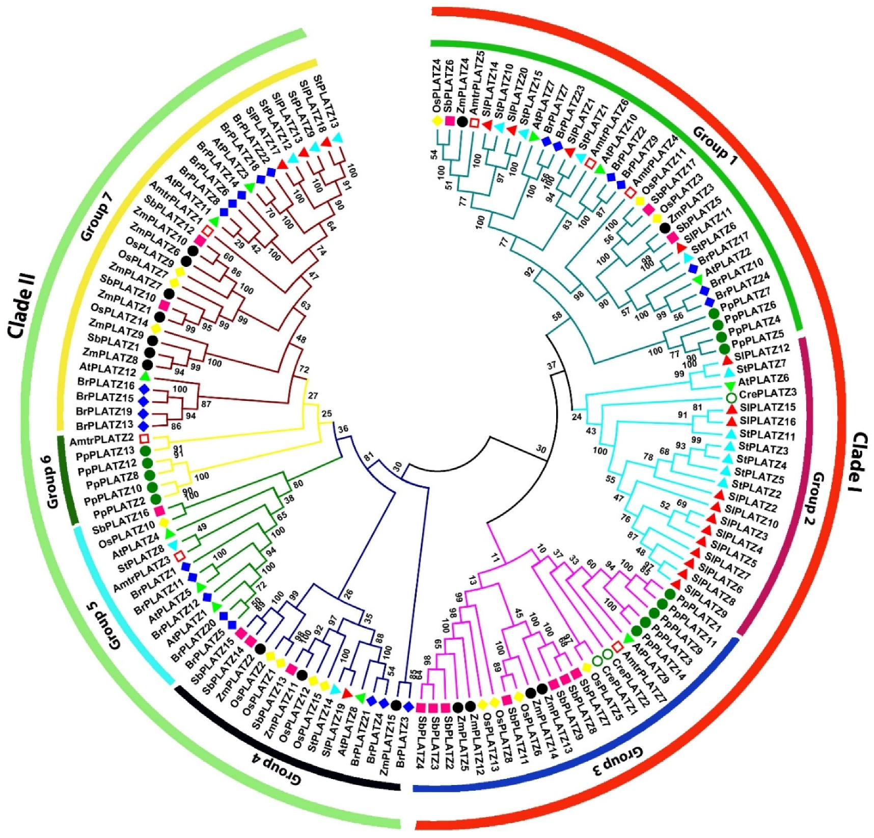 Plants 11 03112 g002
