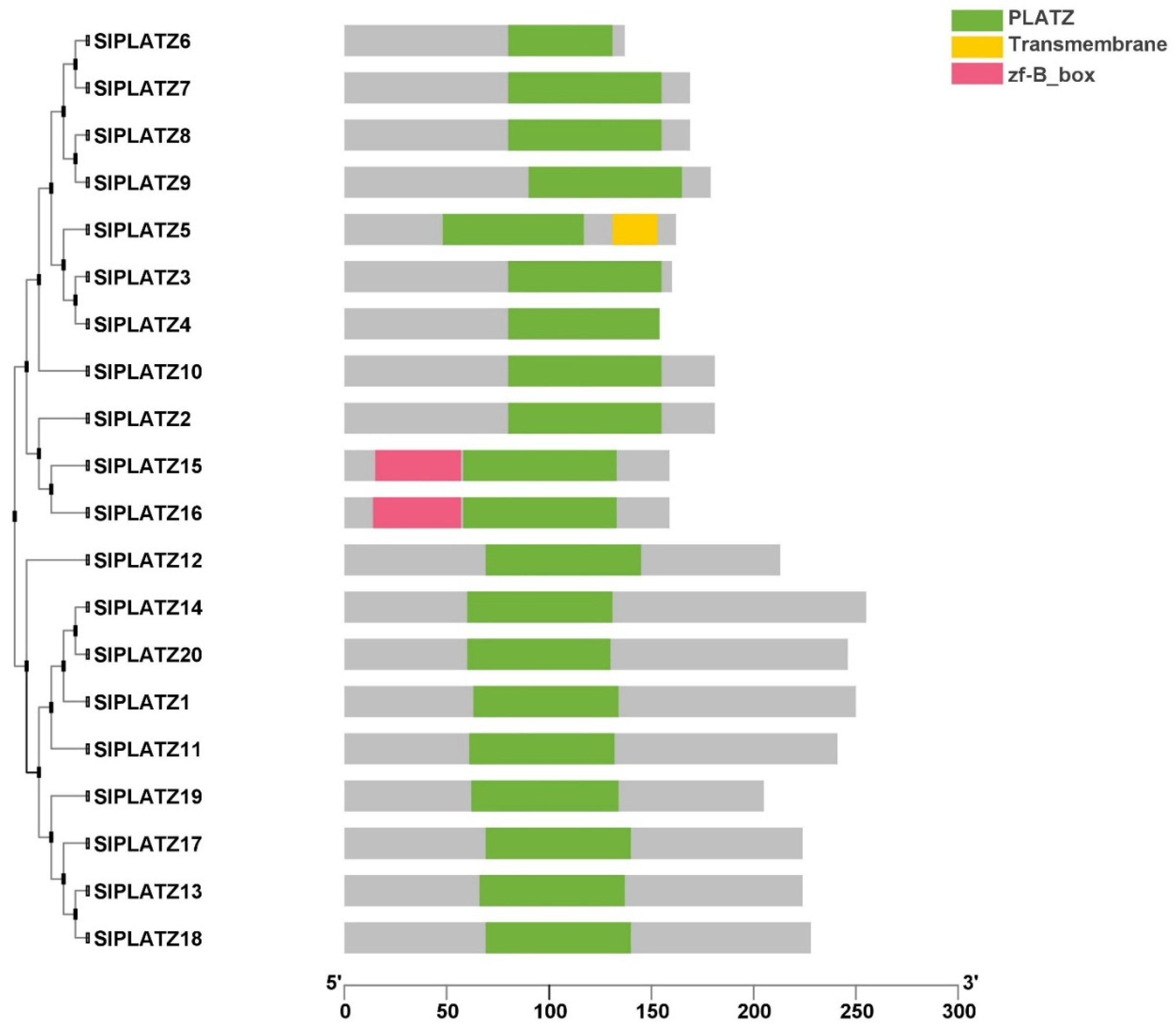 Plants 11 03112 g003