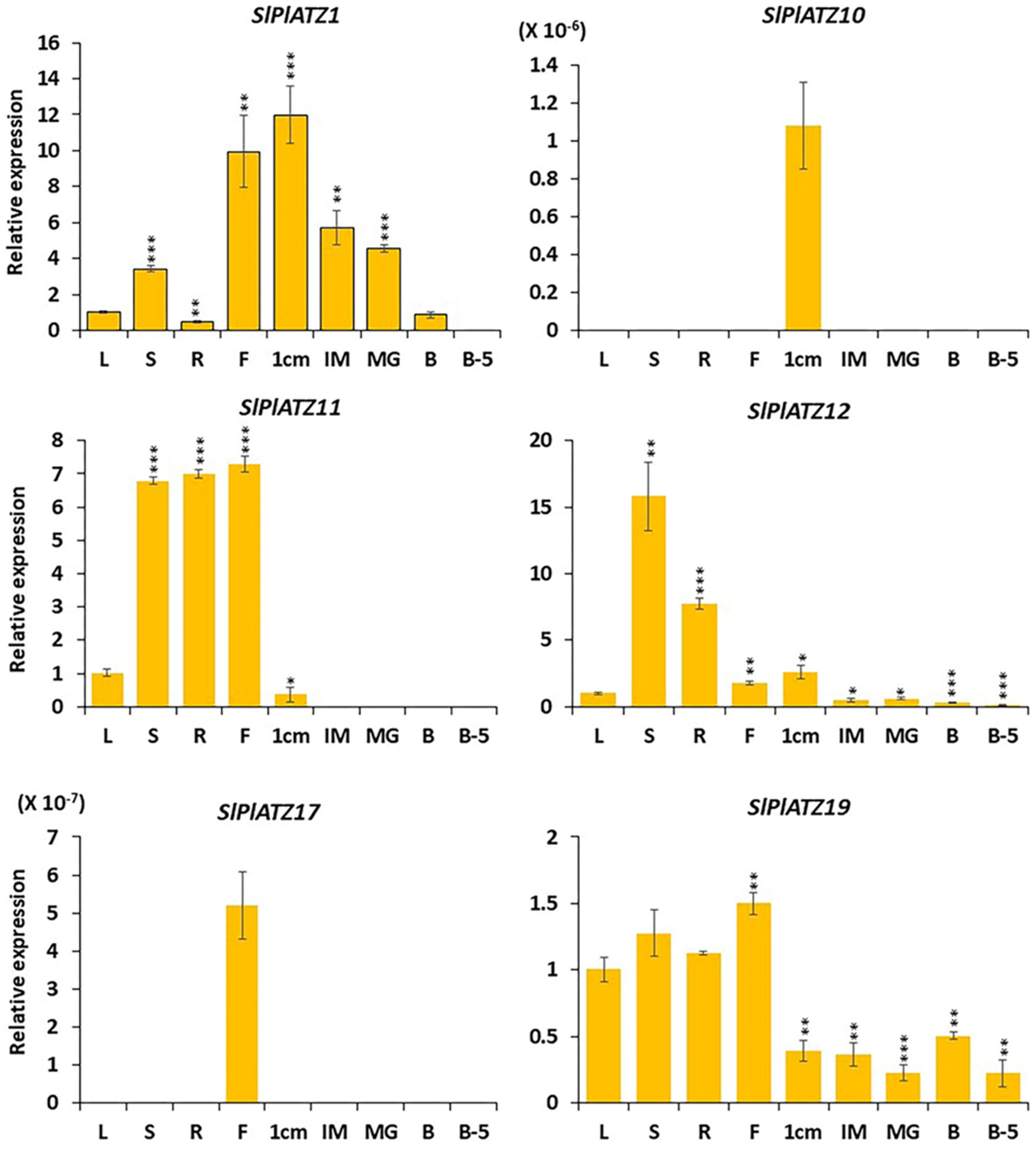 Plants 11 03112 g006