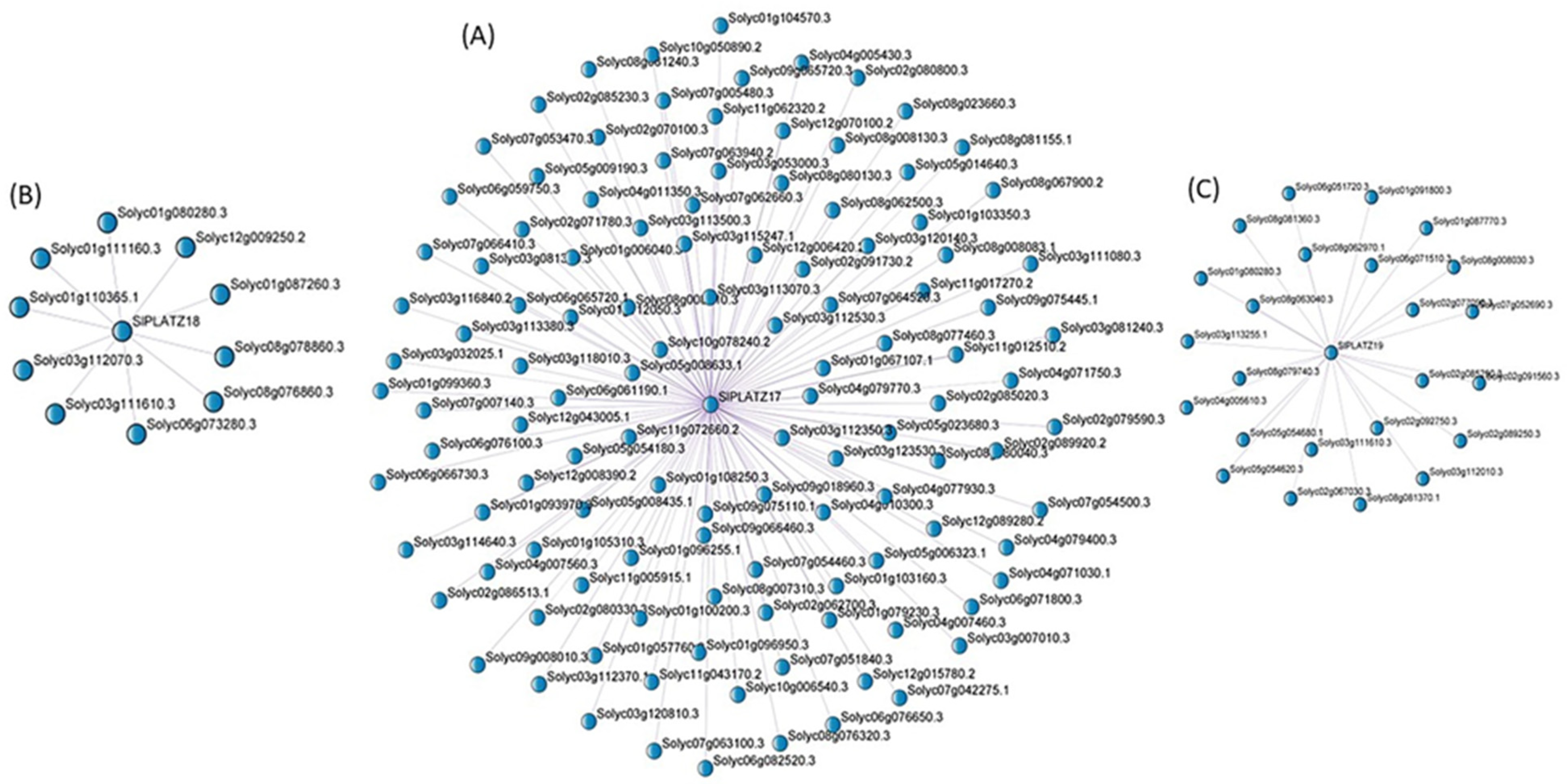 Plants 11 03112 g008