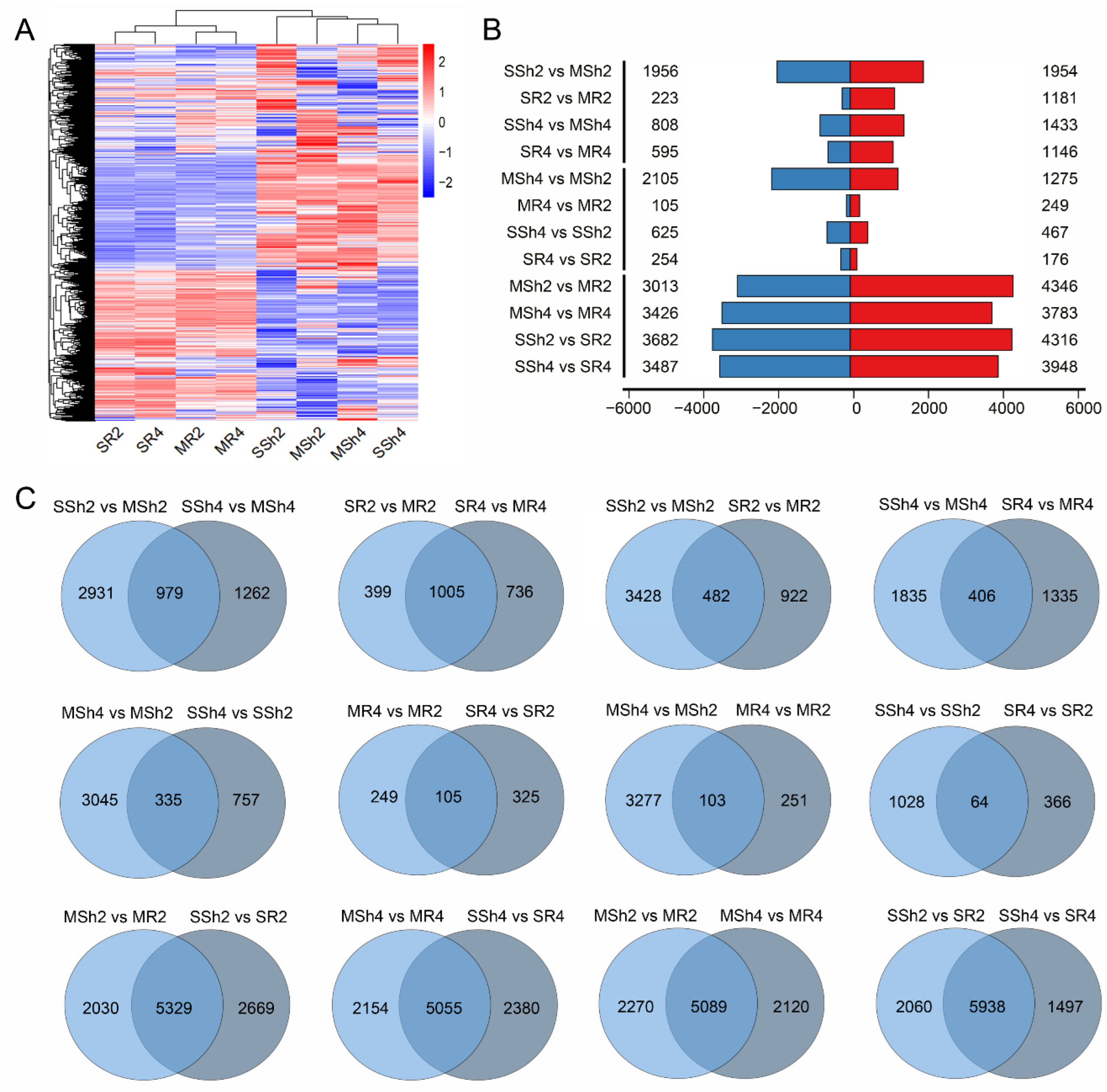 Plants 11 03114 g003 Plants 11 03114 g003