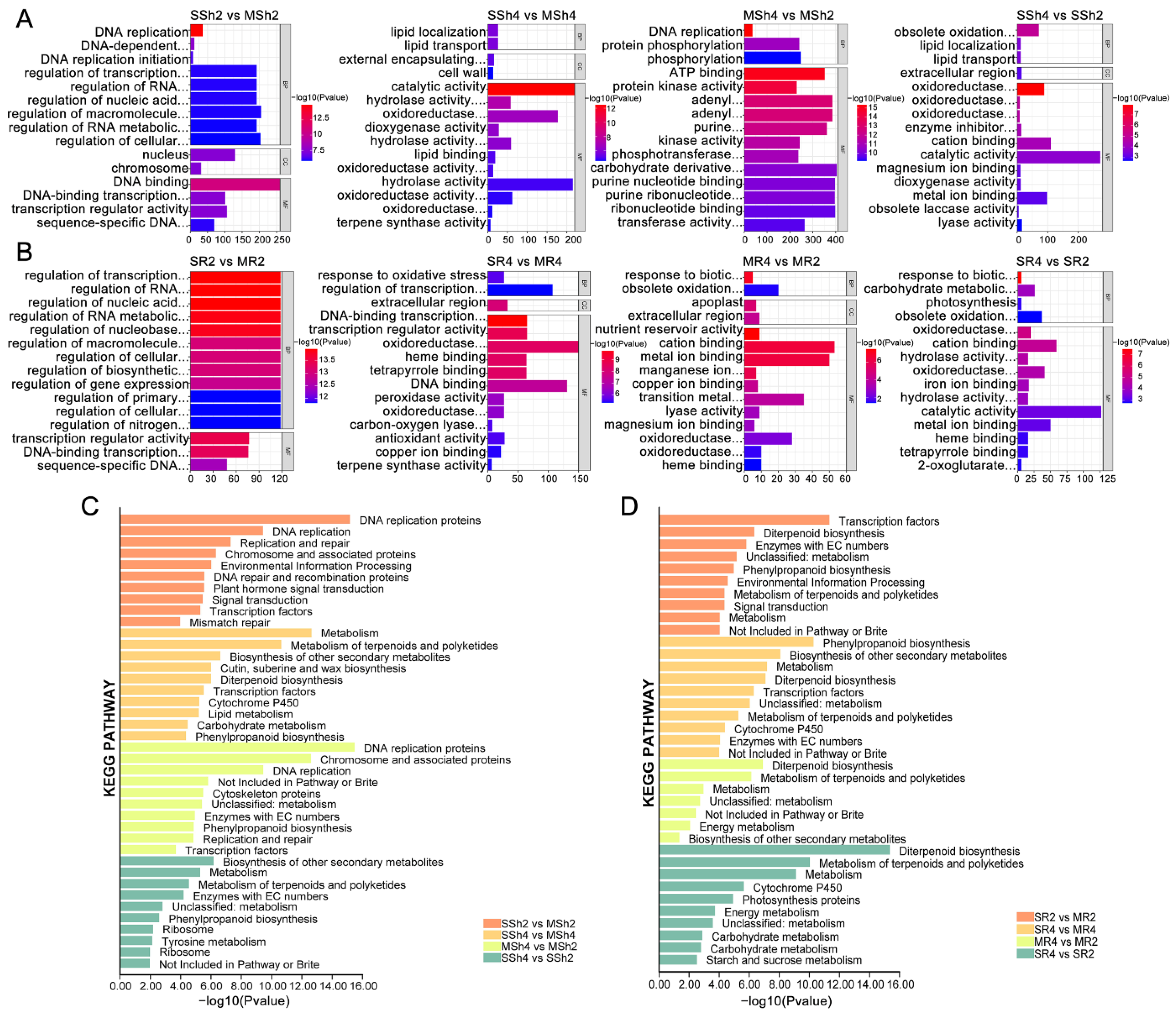 Plants 11 03114 g004 Plants 11 03114 g004
