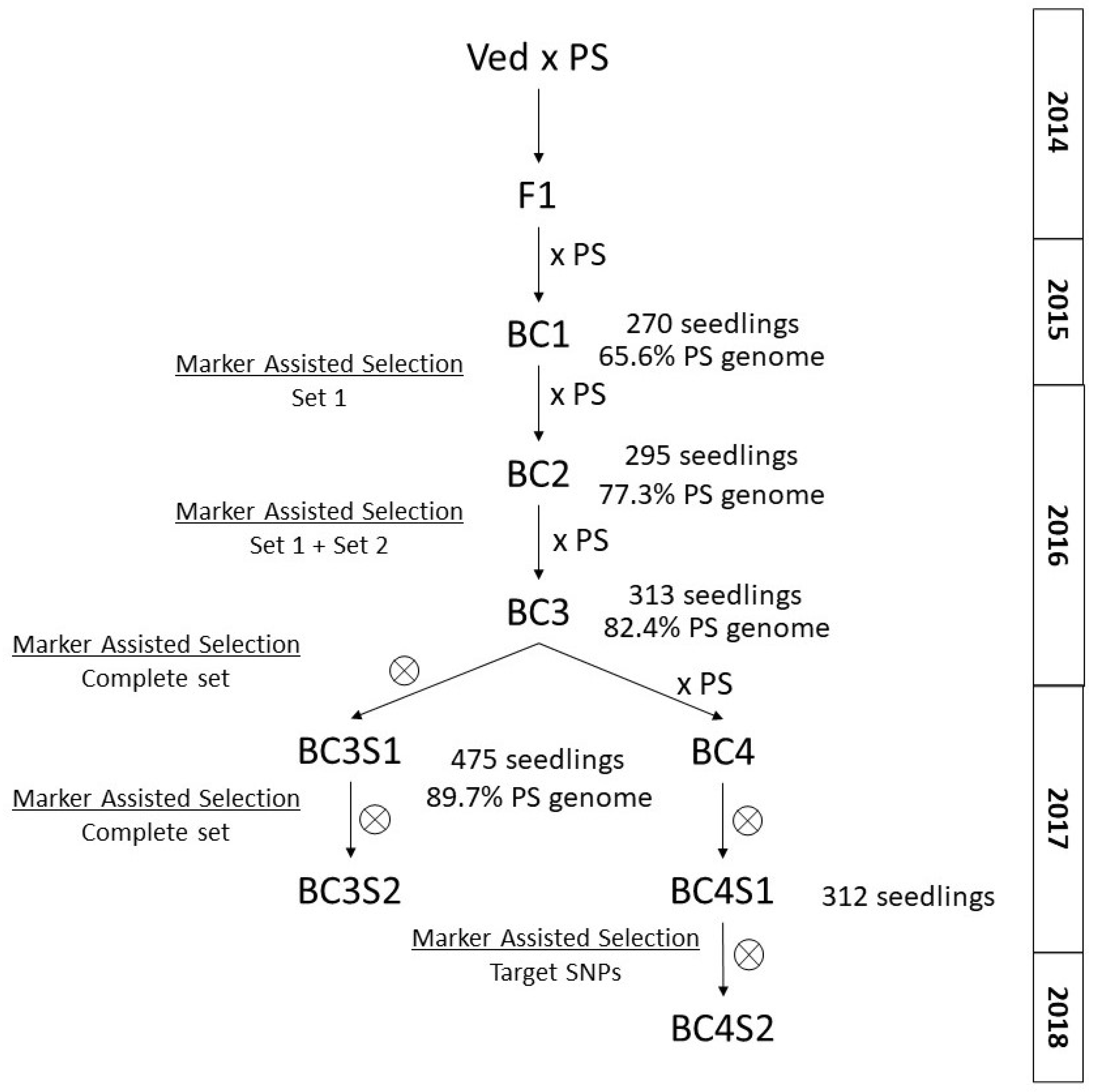 Plants 11 03120 g002 Plants 11 03120 g002