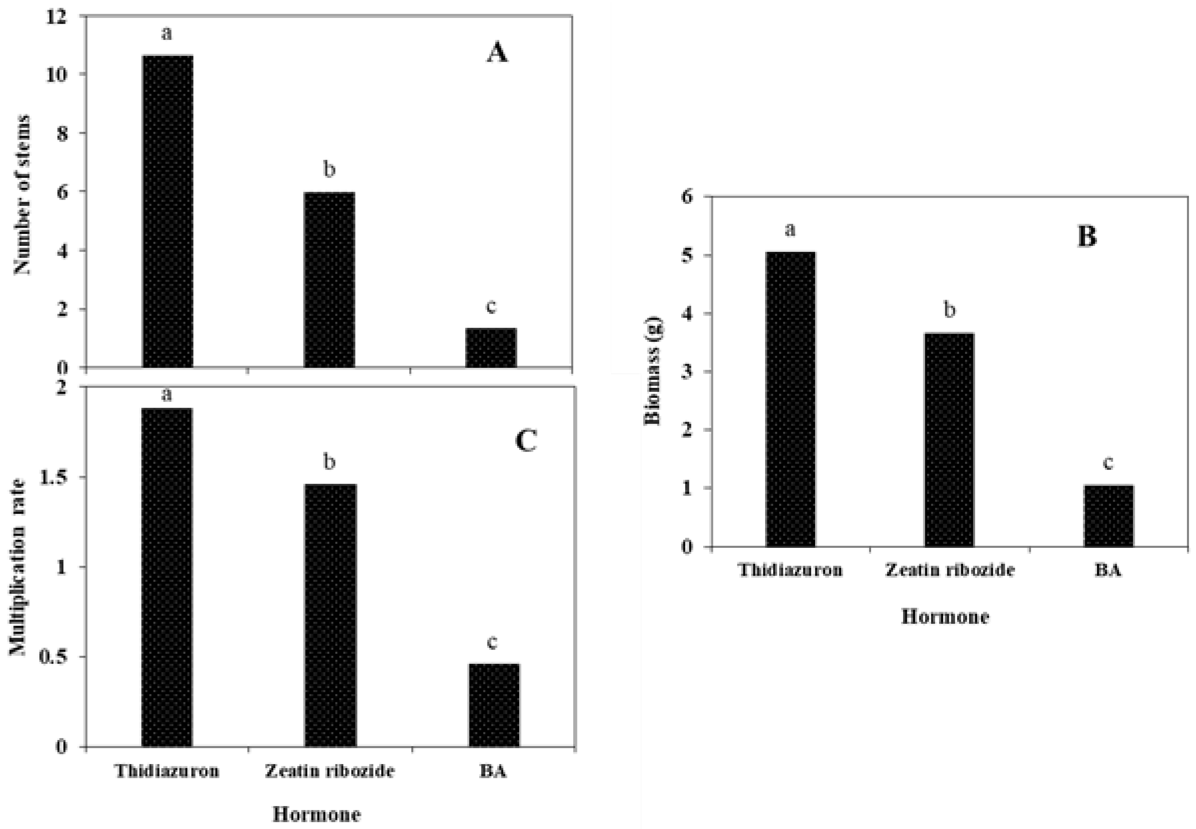 Plants 11 03122 g007 Plants 11 03122 g007