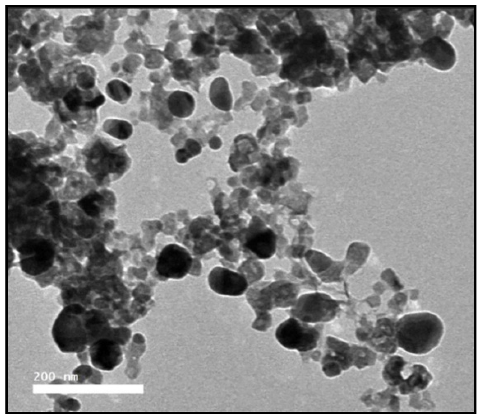 Plants 11 03129 g001 Plants 11 03129 g001