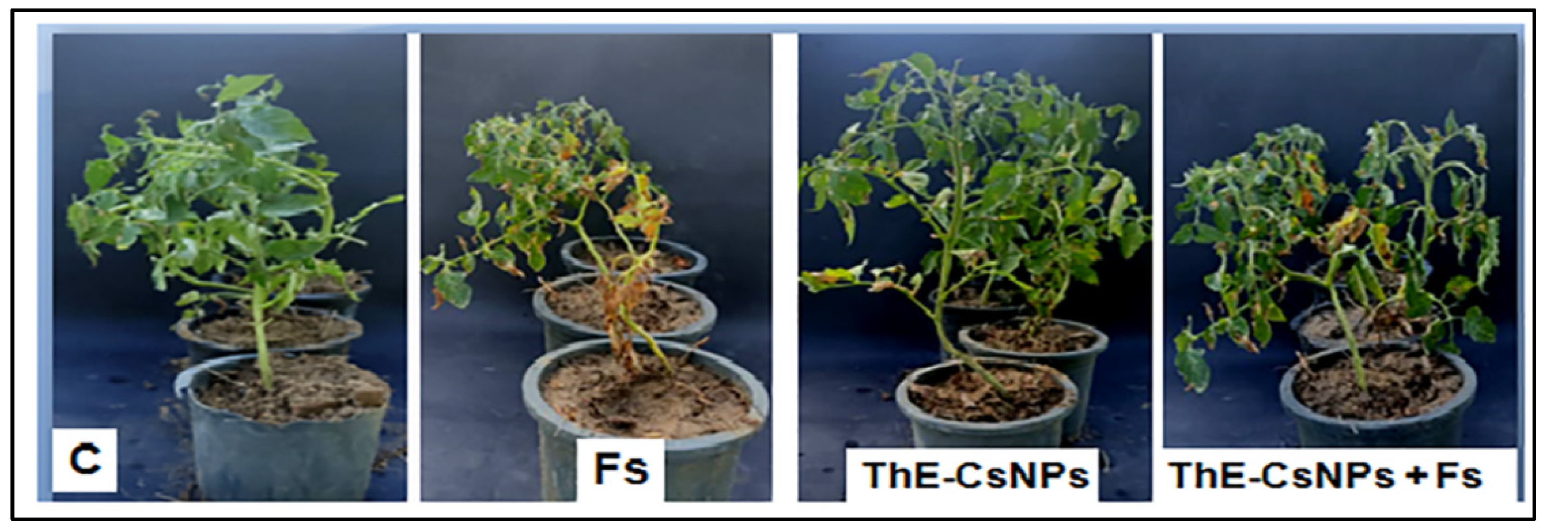 Plants 11 03129 g003 Plants 11 03129 g003