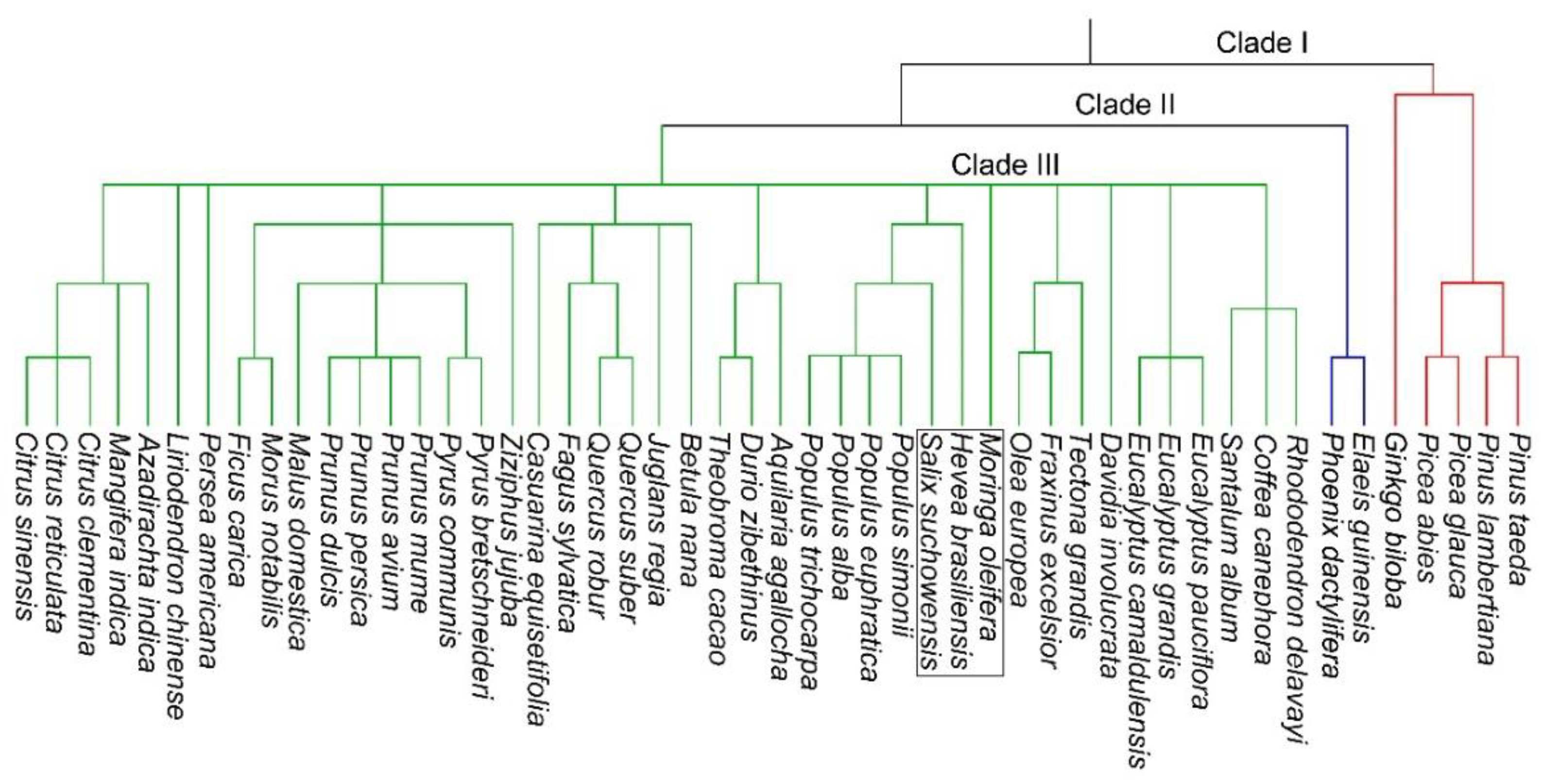 Plants 11 03132 g002 Plants 11 03132 g002