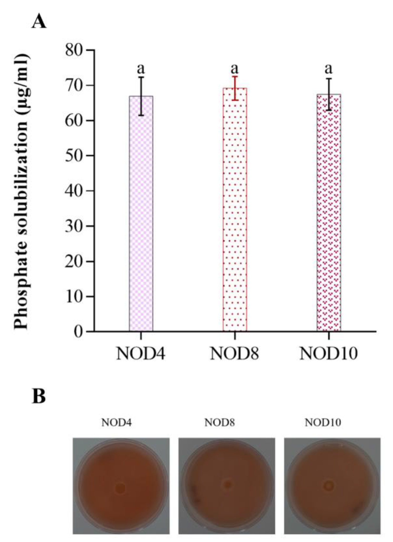 Plants 11 03136 g002 Plants 11 03136 g002