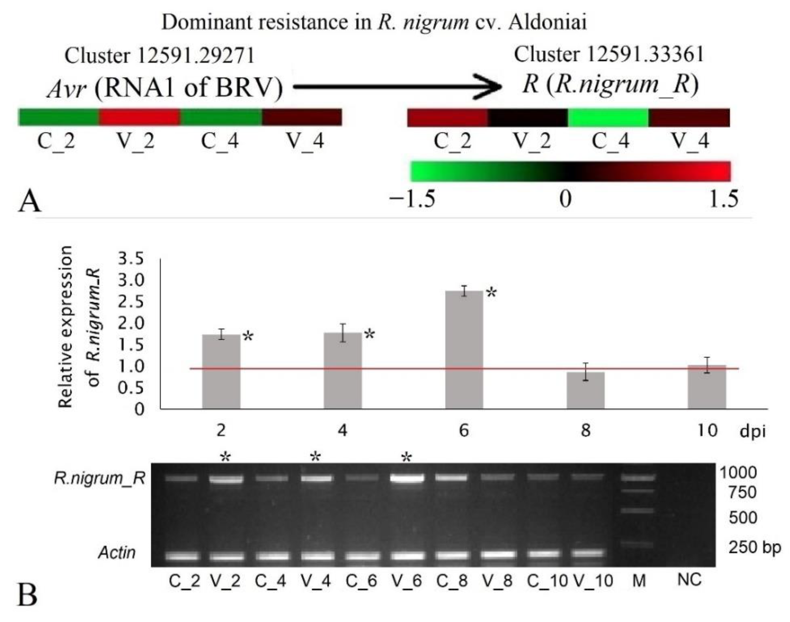 Plants 11 03137 g005 Plants 11 03137 g005