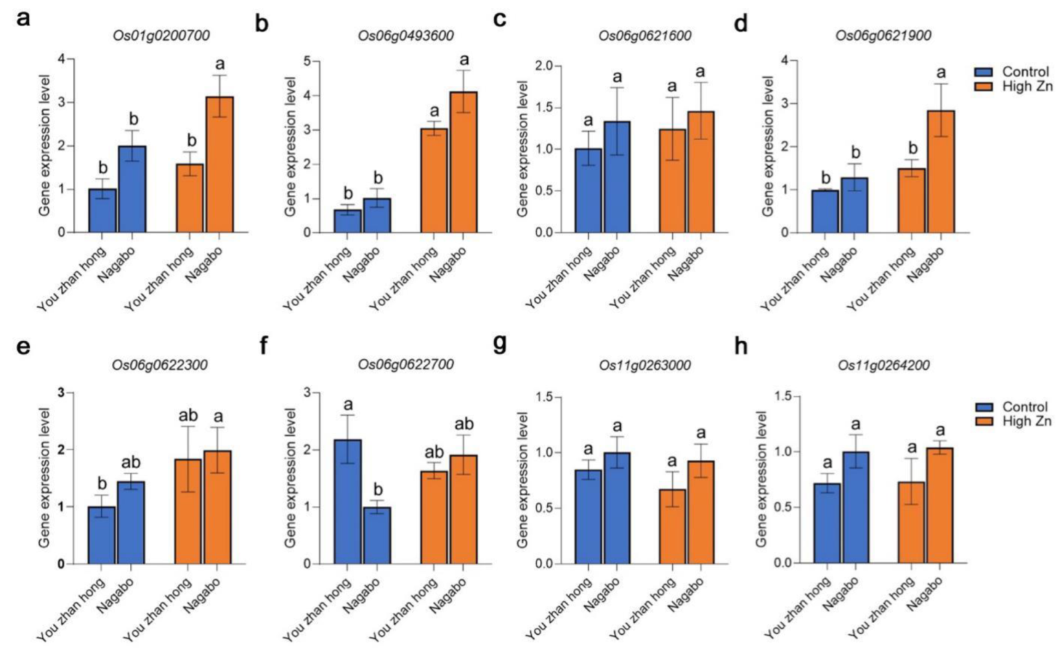 Plants 11 03138 g005 Plants 11 03138 g005