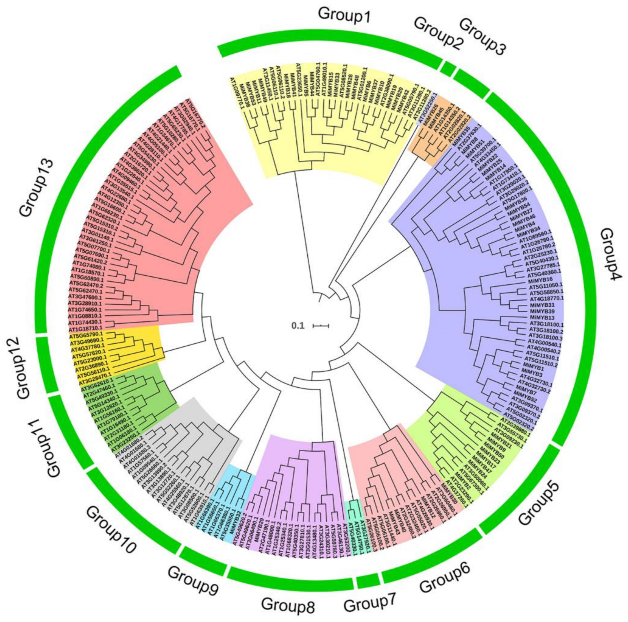 Plants 11 03141 g001