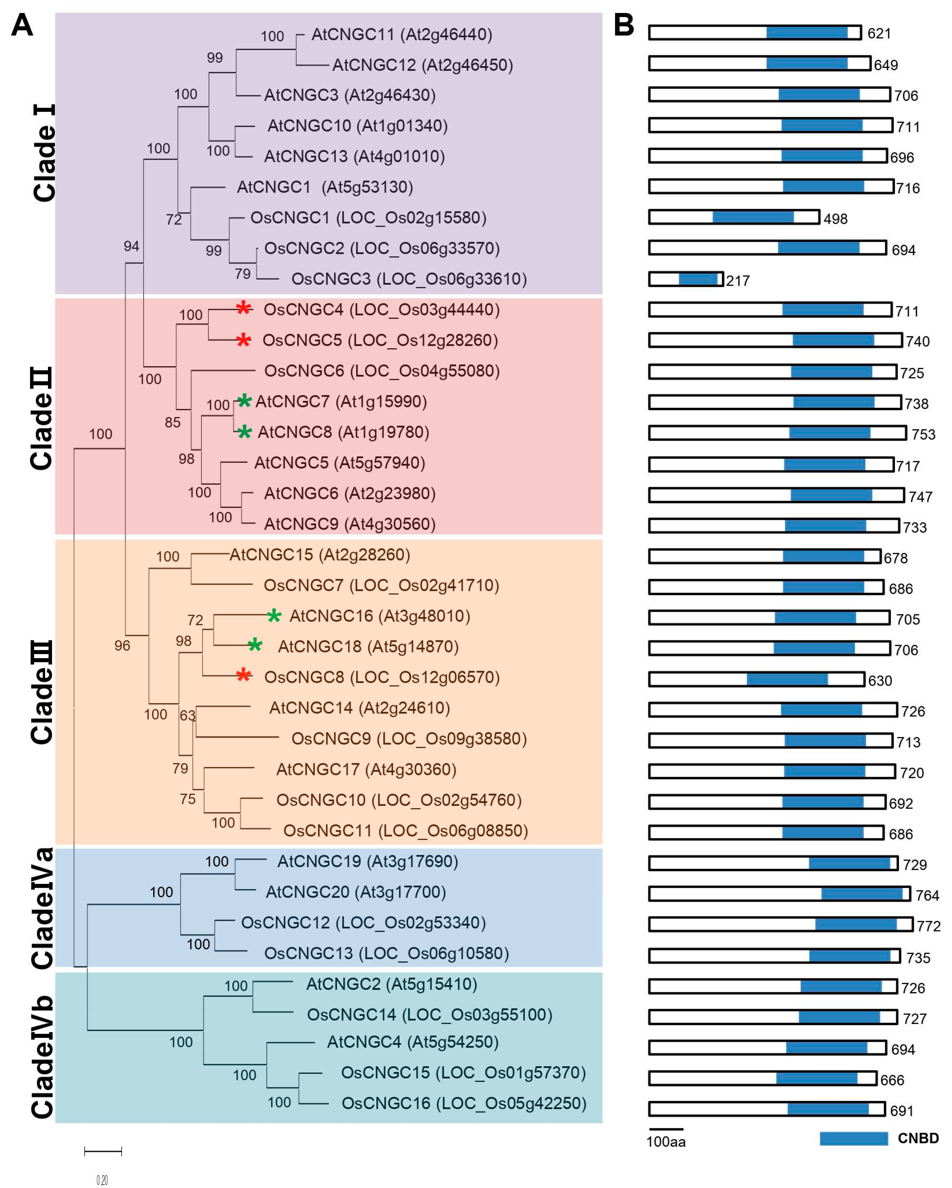 Plants 11 03145 g001 Plants 11 03145 g001