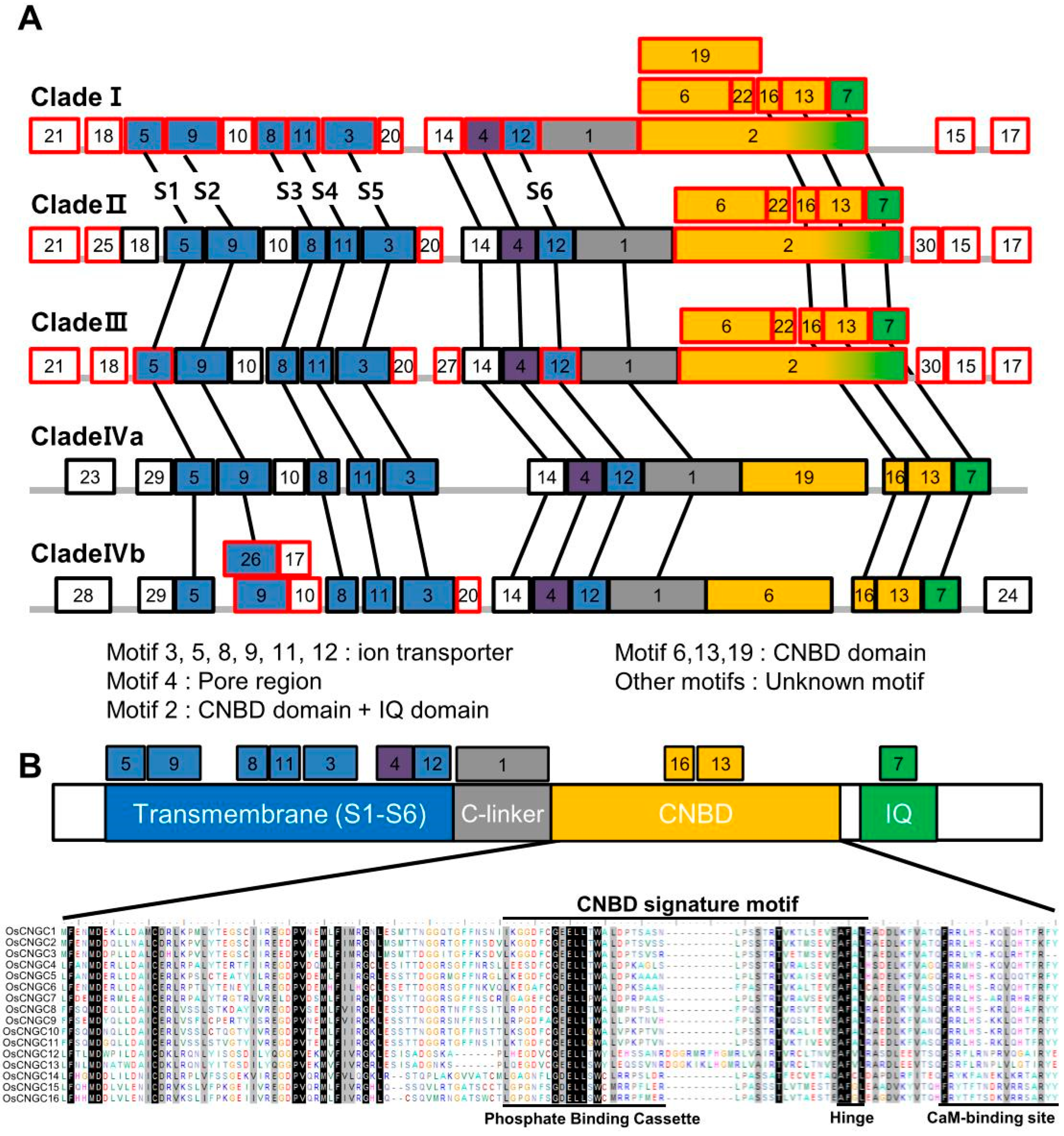 Plants 11 03145 g002 Plants 11 03145 g002