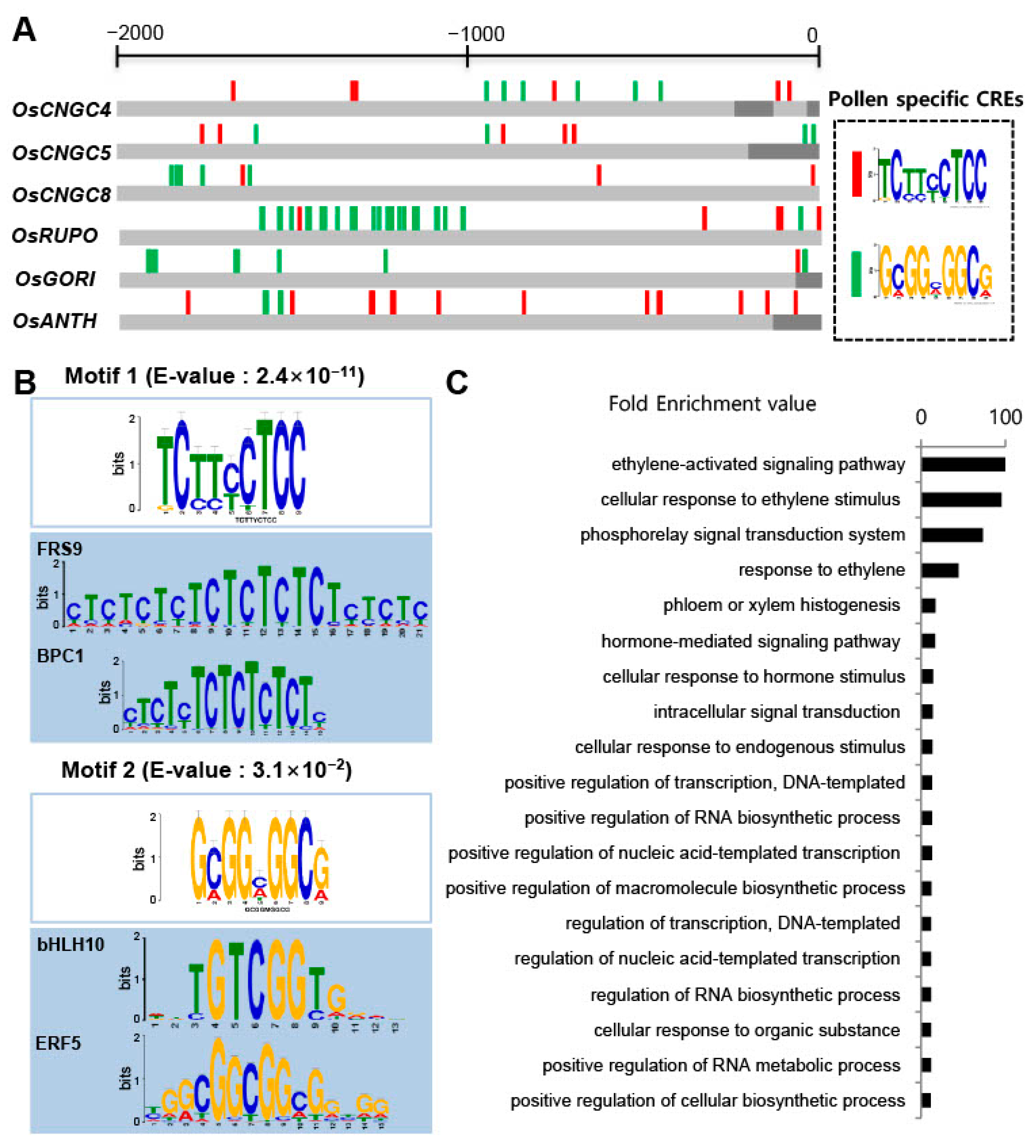 Plants 11 03145 g004 Plants 11 03145 g004