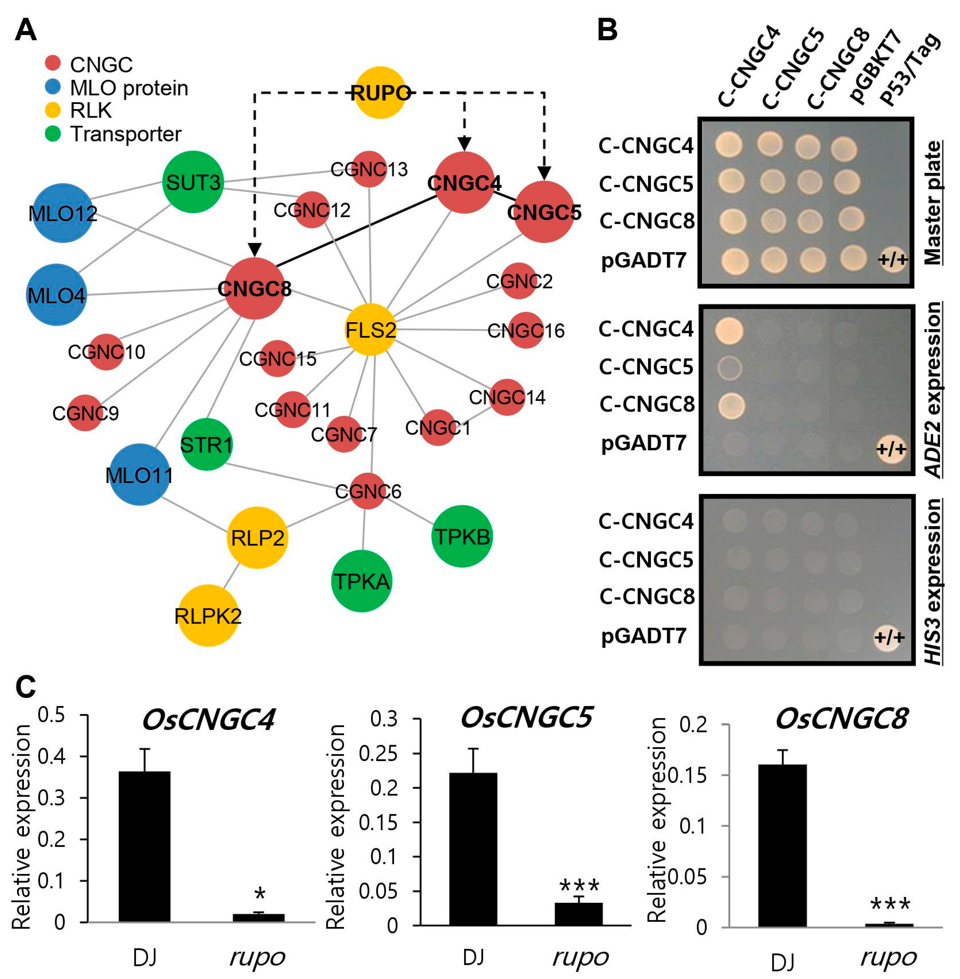 Plants 11 03145 g006 Plants 11 03145 g006