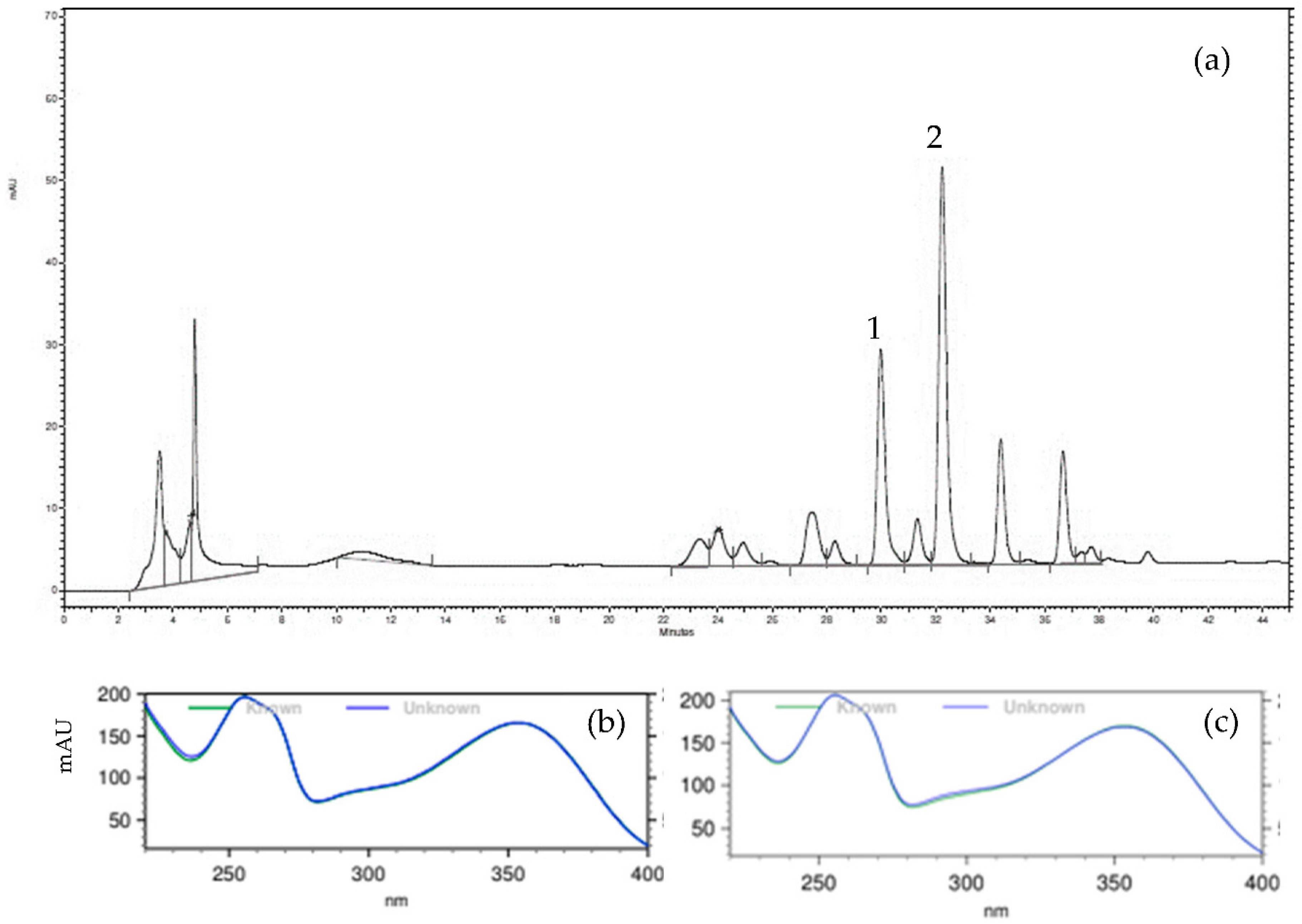 Plants 11 03147 g001 Plants 11 03147 g001
