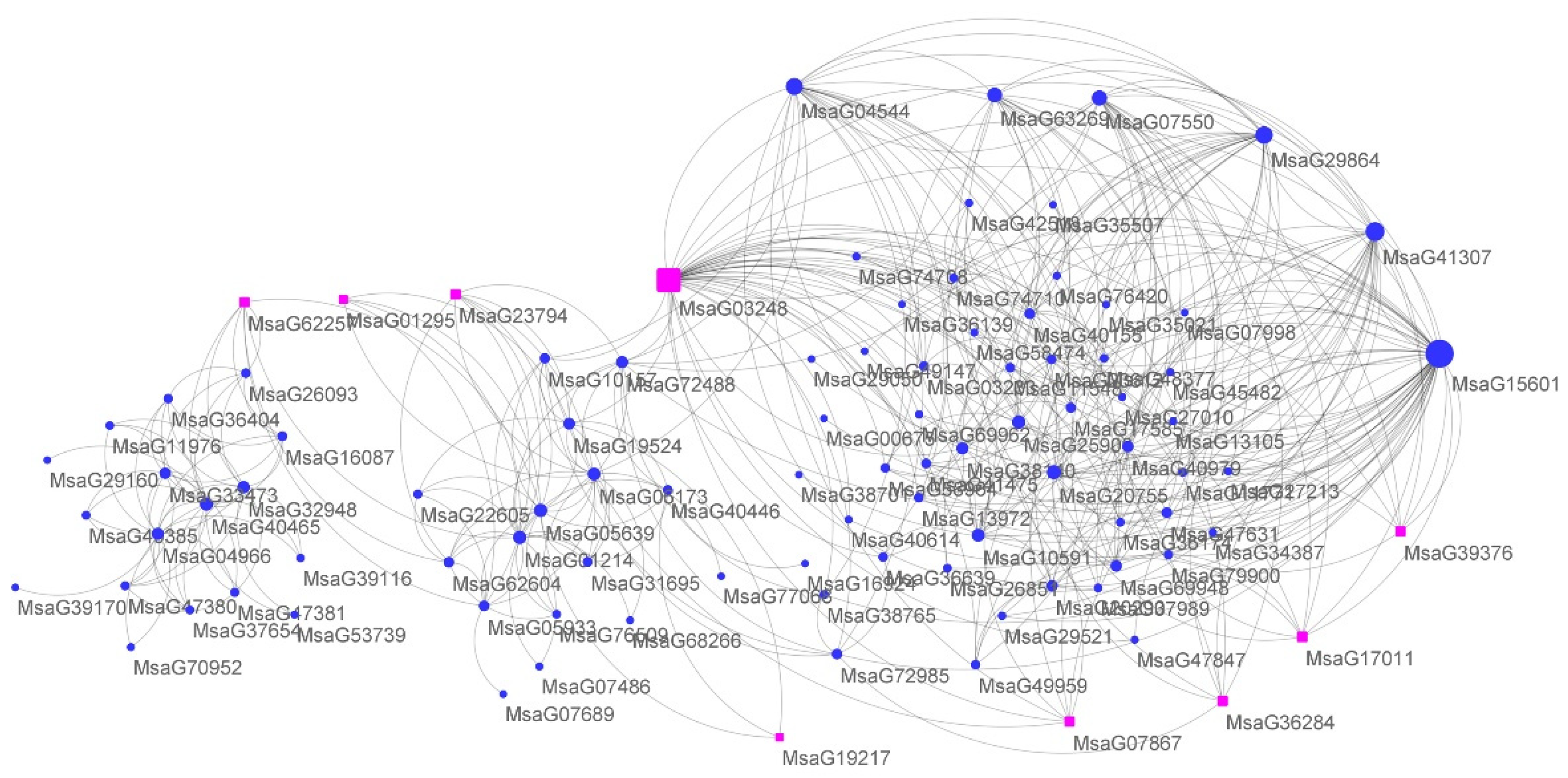 Plants 11 03148 g006 Plants 11 03148 g006
