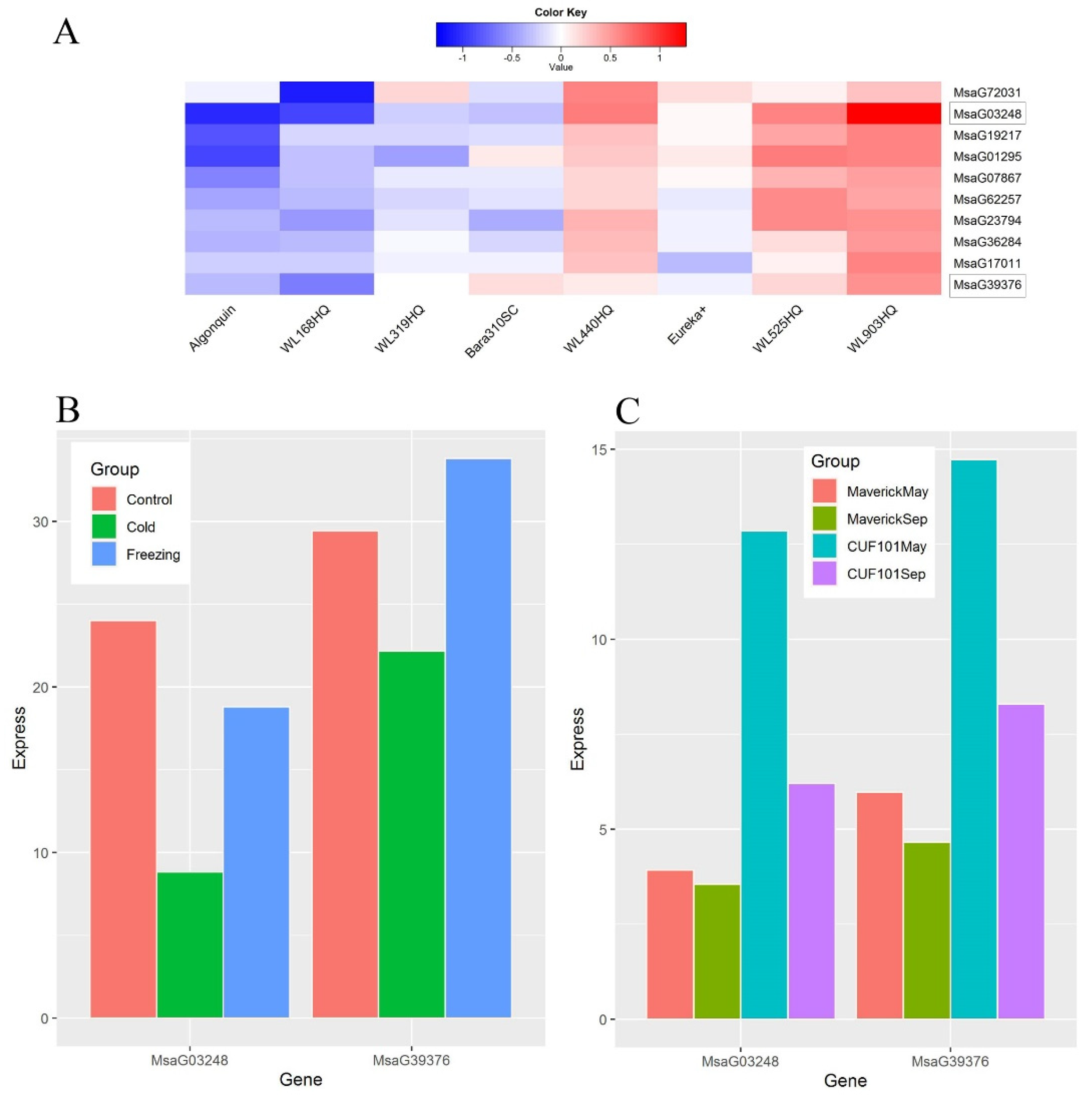 Plants 11 03148 g007 Plants 11 03148 g007