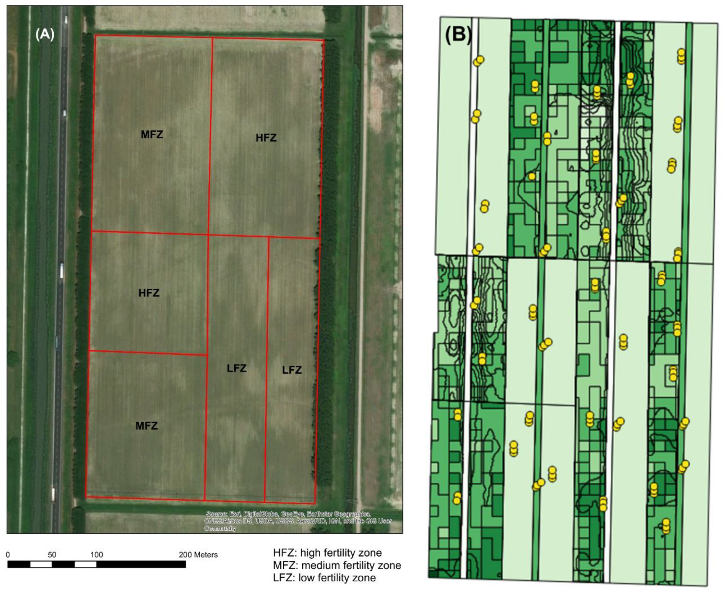 Plants 11 03149 g006 Plants 11 03149 g006
