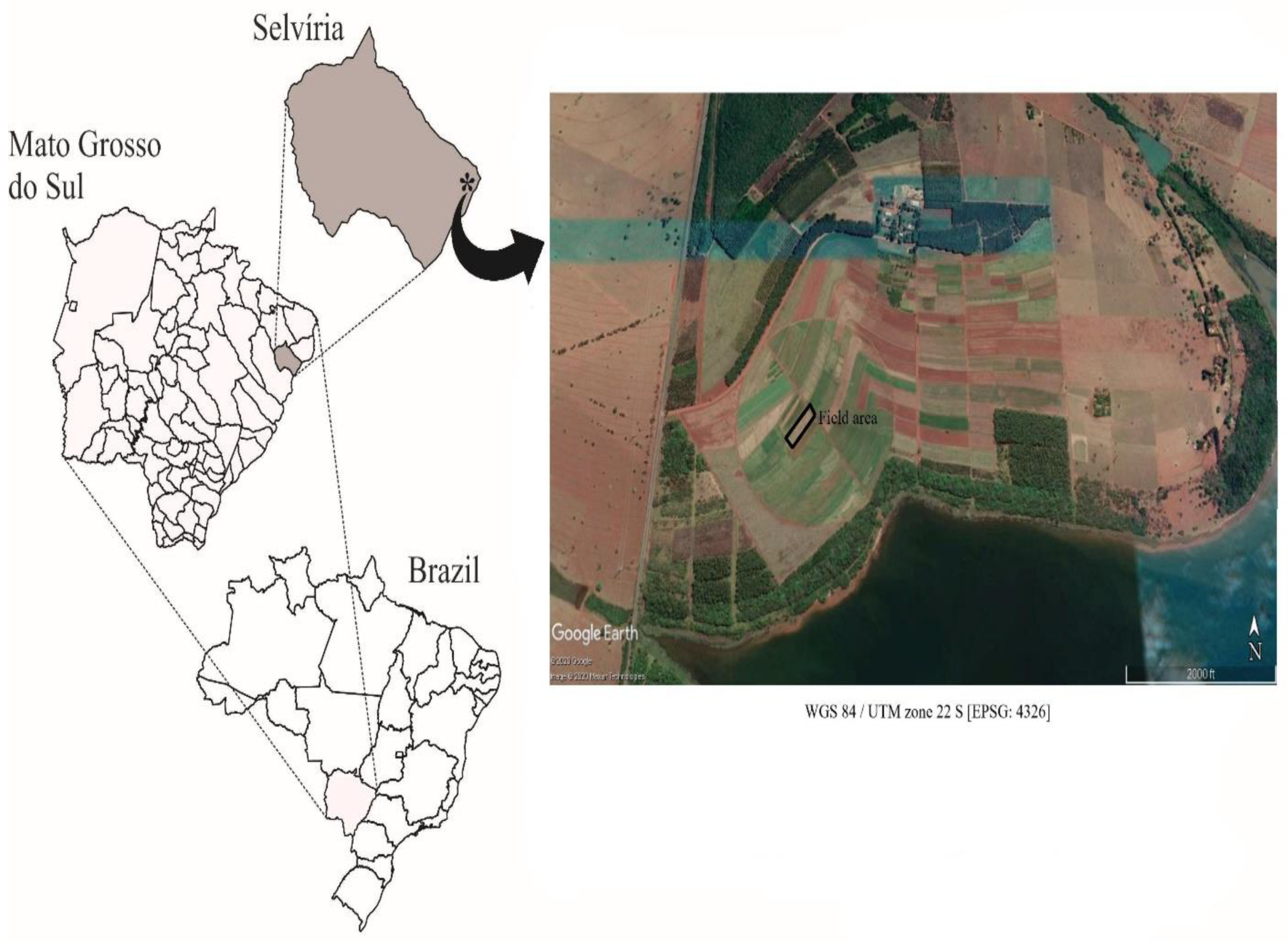 Plants 11 03154 g007 Plants 11 03154 g007