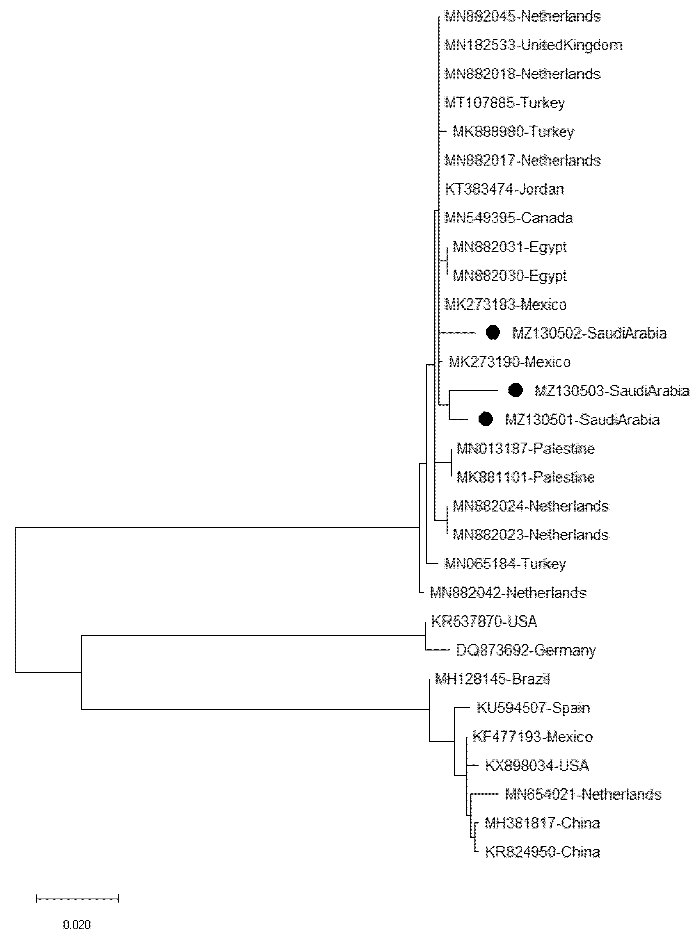 Plants 11 03157 g004 Plants 11 03157 g004