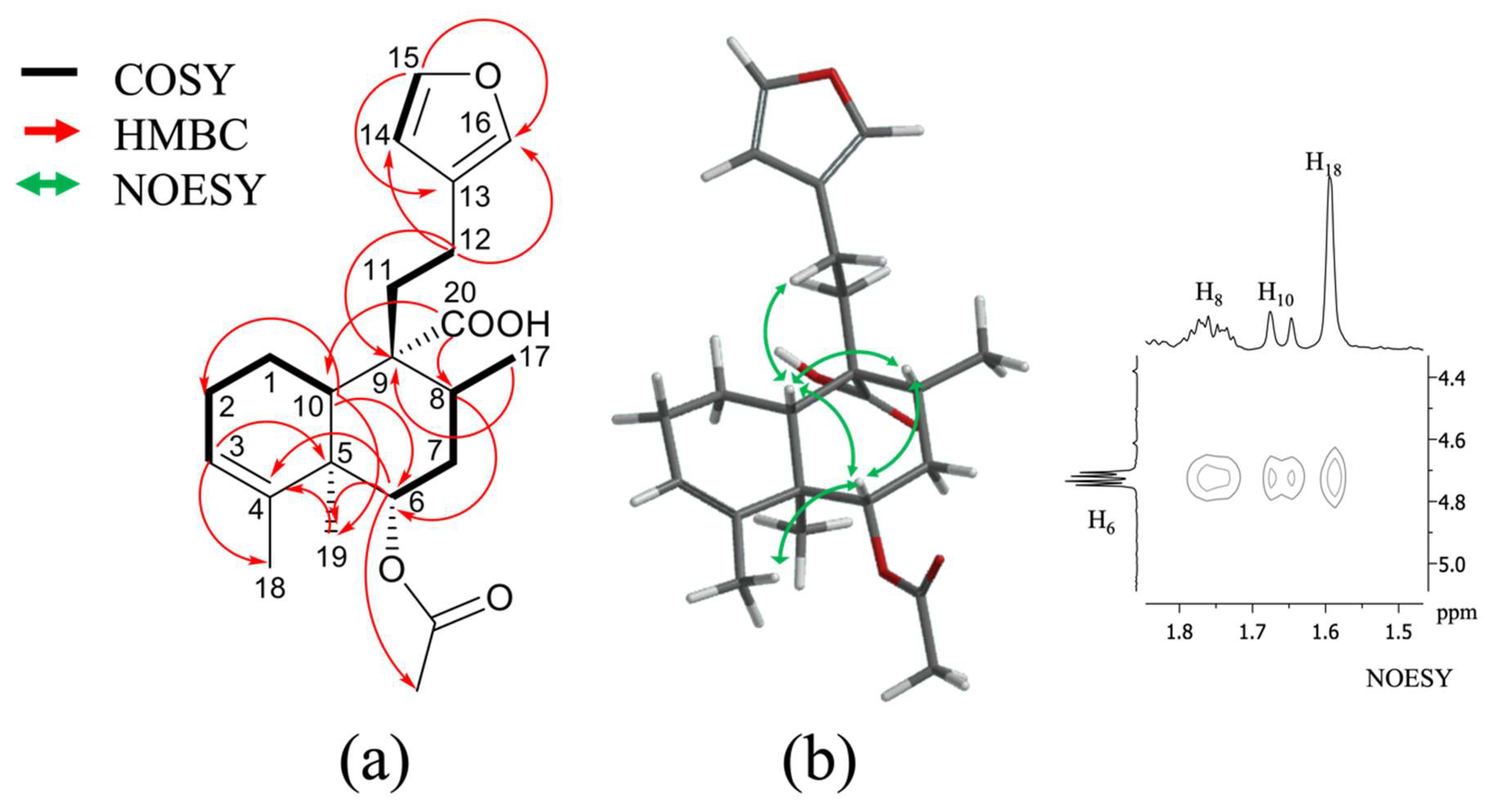 Plants 11 03159 g002
