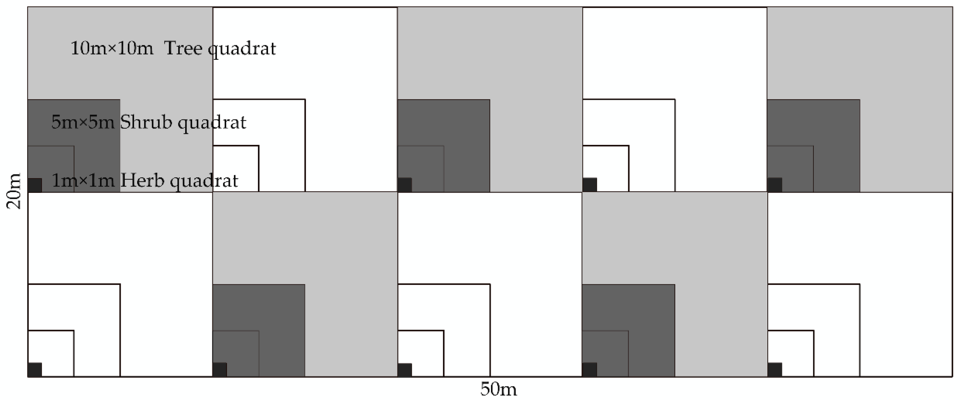 Plants 11 03161 g002