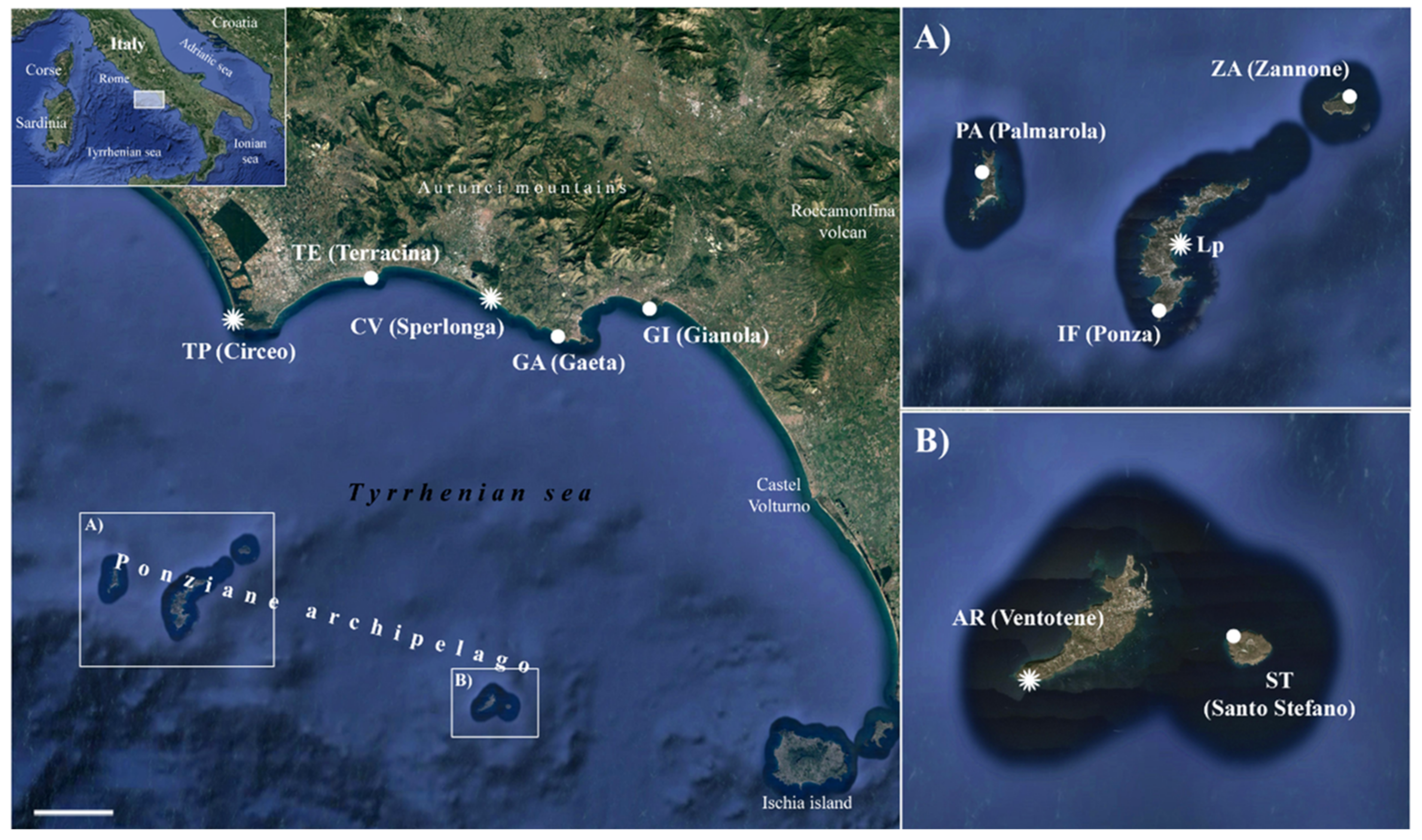 Plants 11 03163 g001