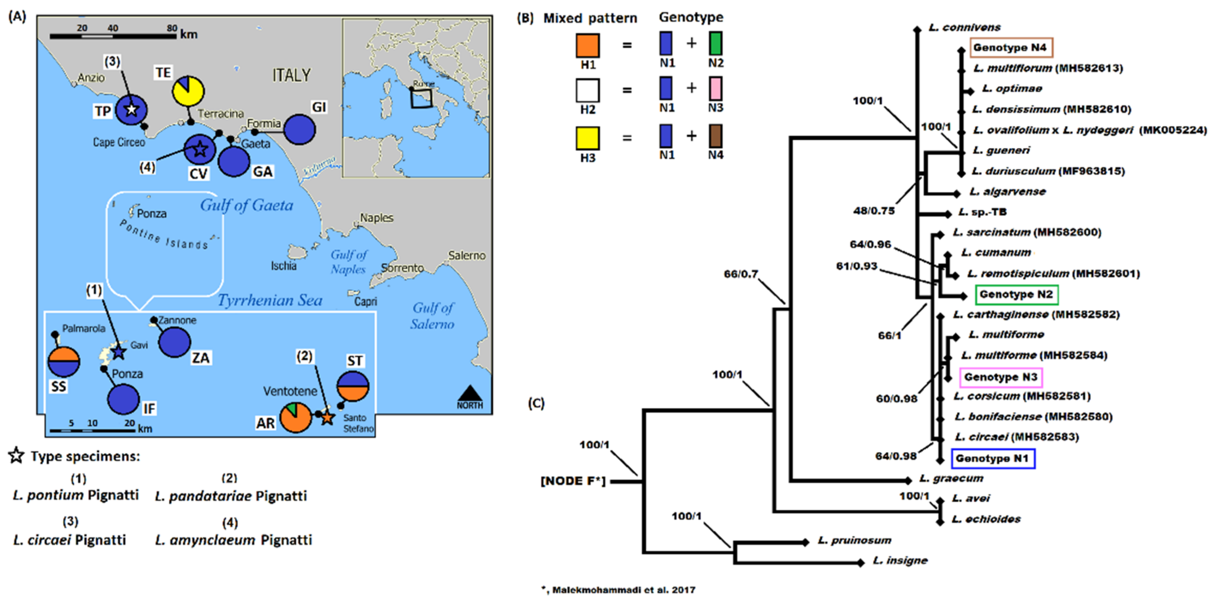 Plants 11 03163 g003