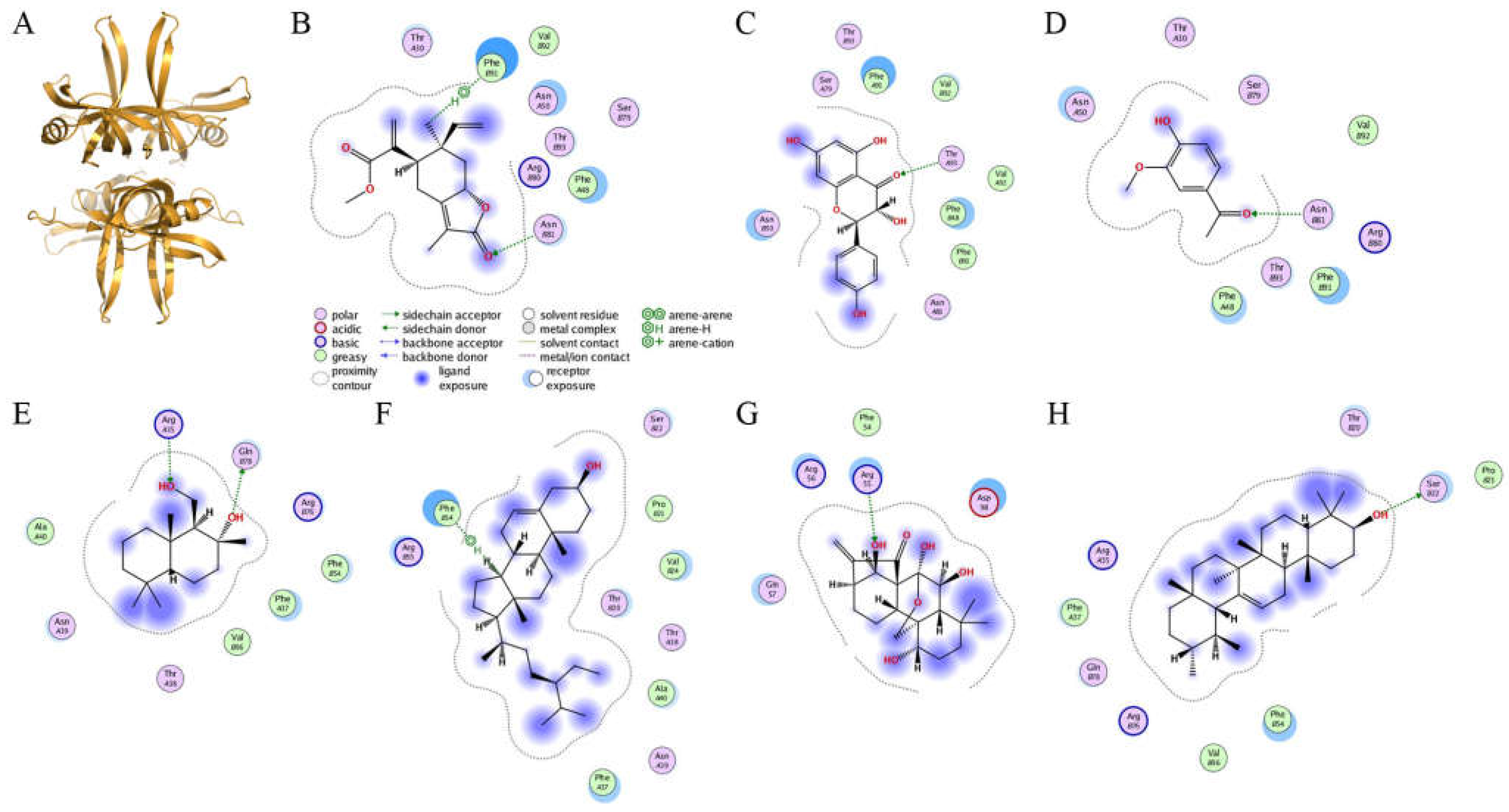 Plants 11 03164 g008
