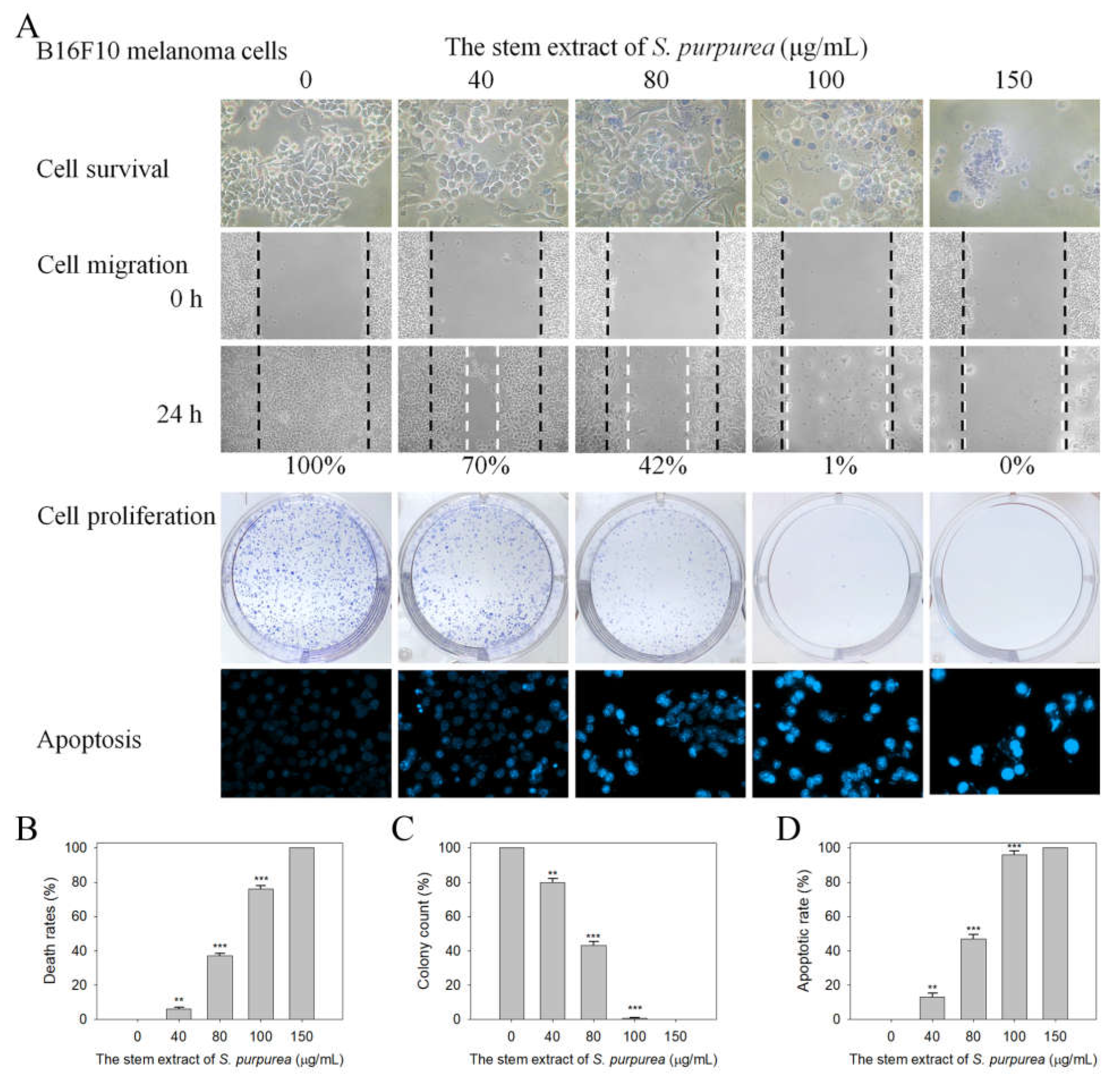 Plants 11 03164 g009