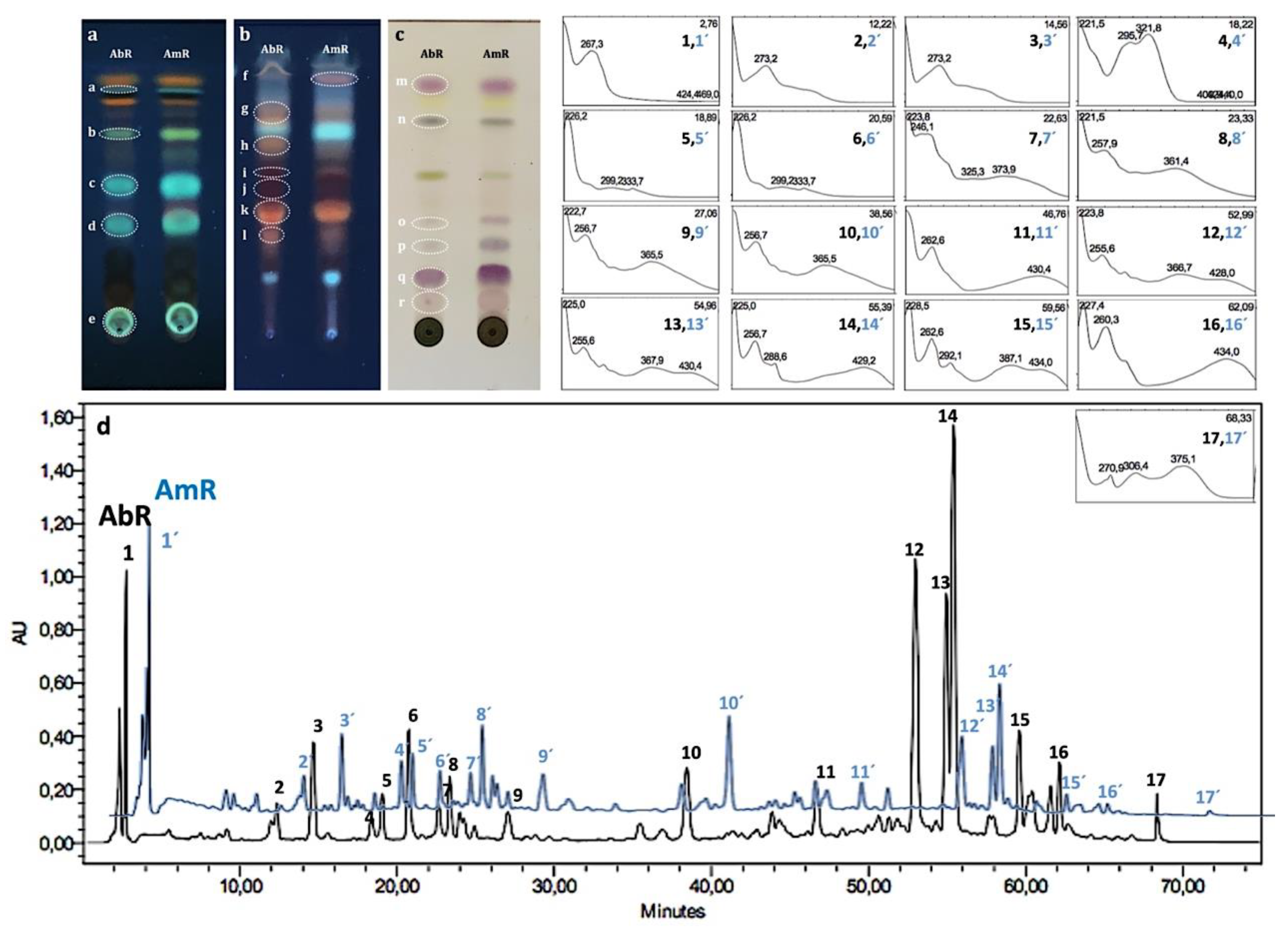 Plants 11 03173 g003 Plants 11 03173 g003