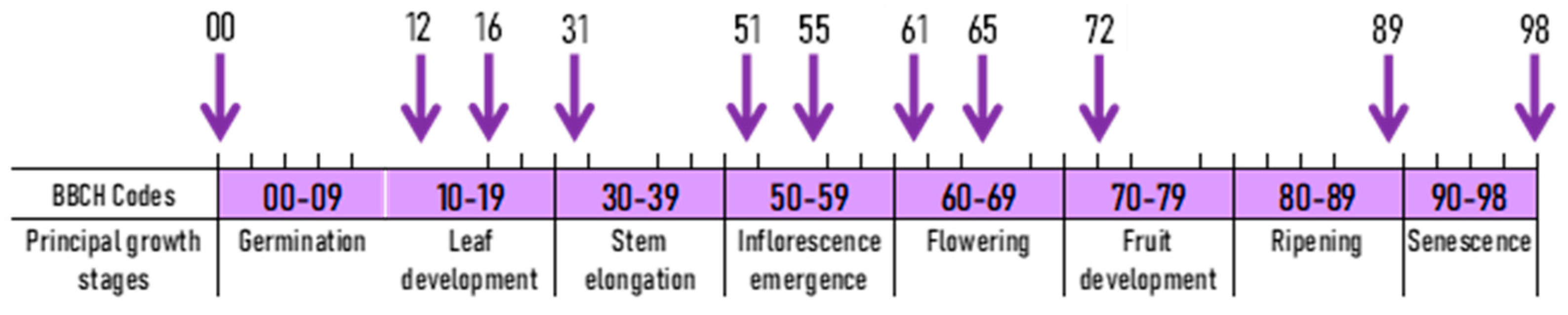 Plants 11 03177 g001