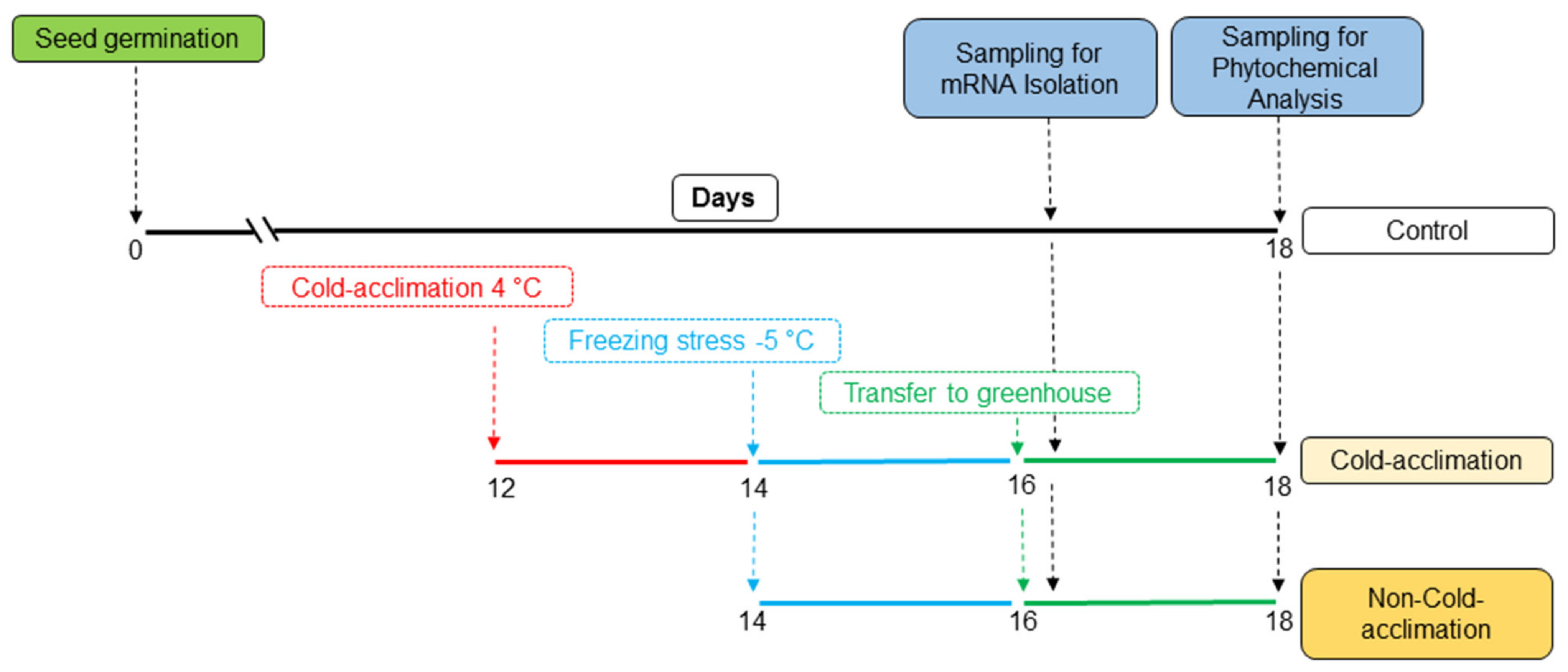 Plants 11 03178 g004 Plants 11 03178 g004