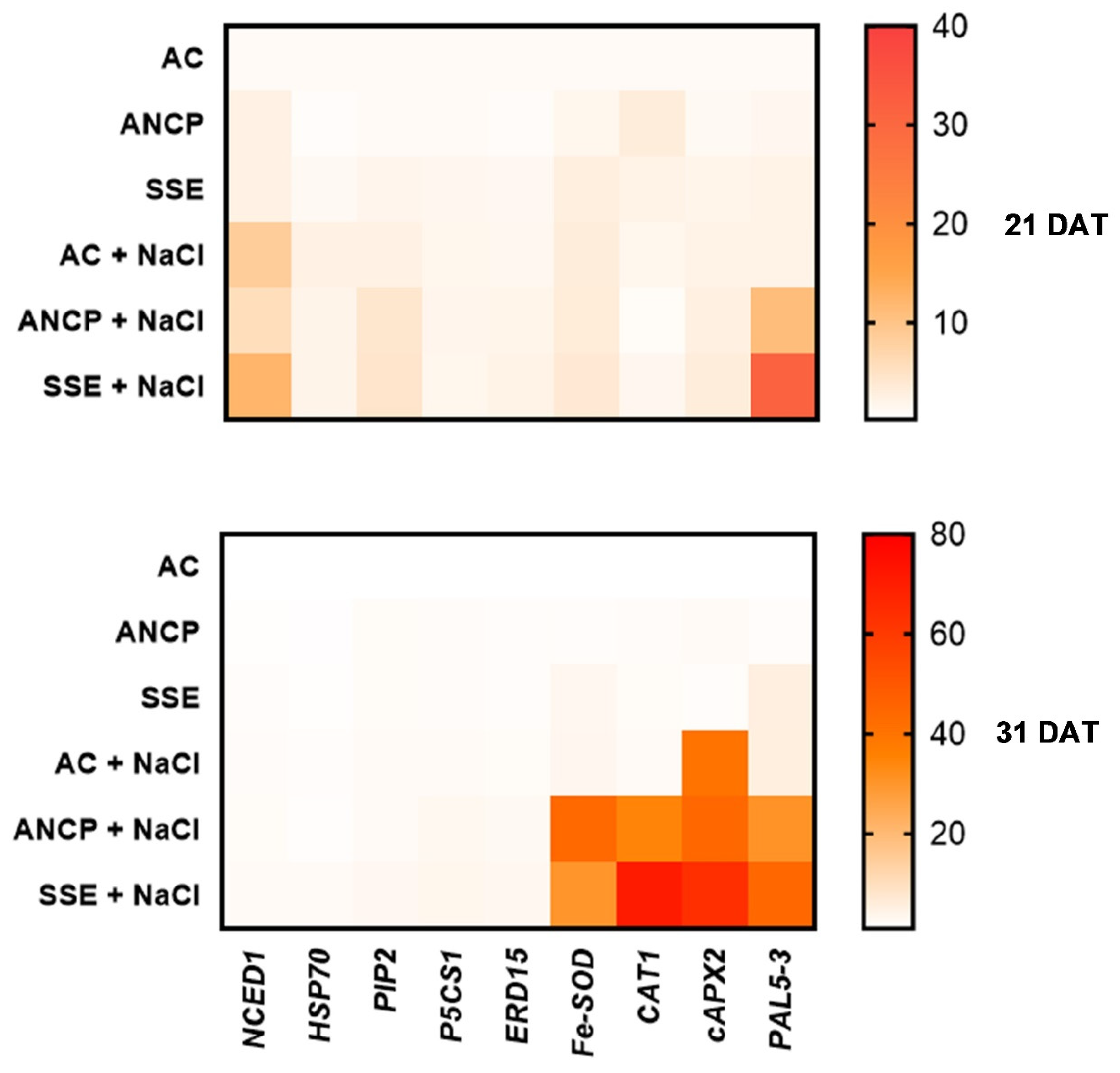 Plants 11 03180 g007b