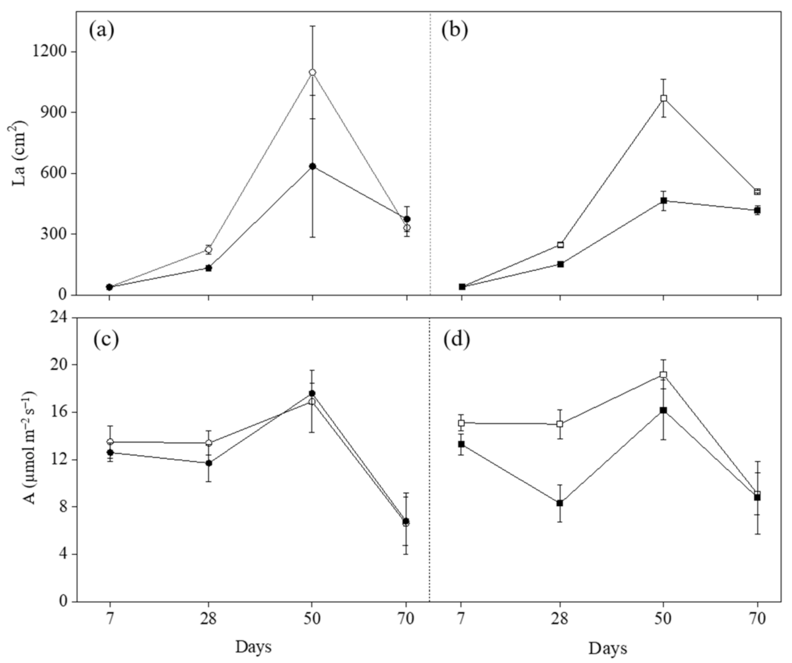Plants 11 03185 g001