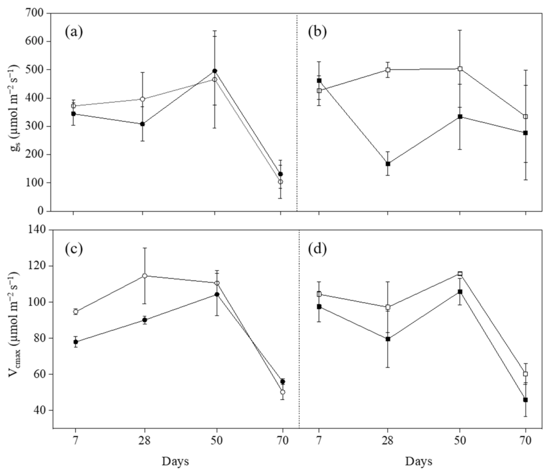 Plants 11 03185 g002