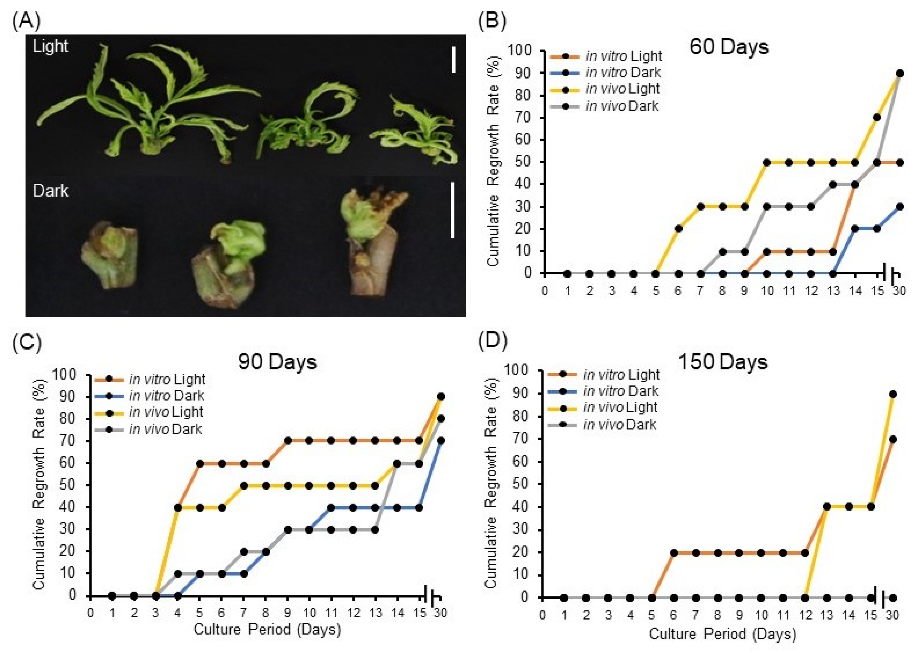 Plants 11 03186 g002 Plants 11 03186 g002