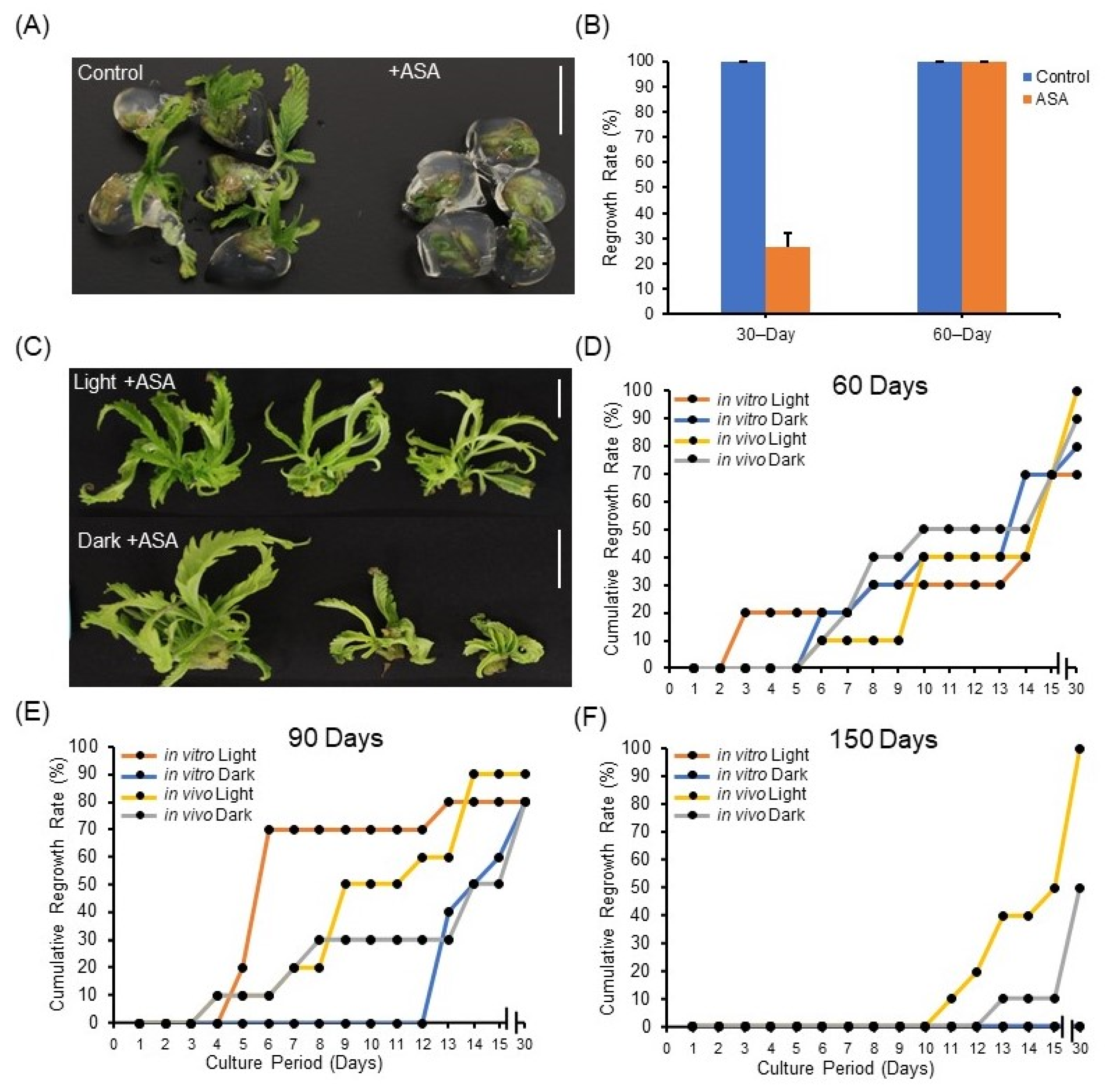 Plants 11 03186 g003 Plants 11 03186 g003