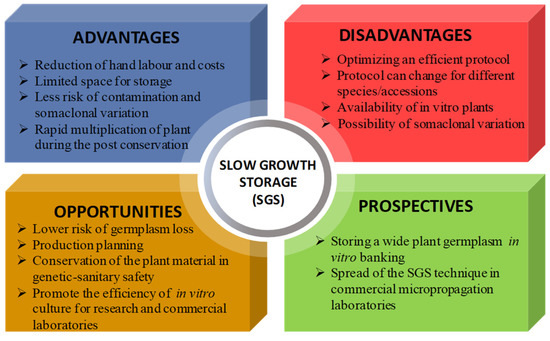 In Vitro Conservation through Slow Growth Storage Technique of 