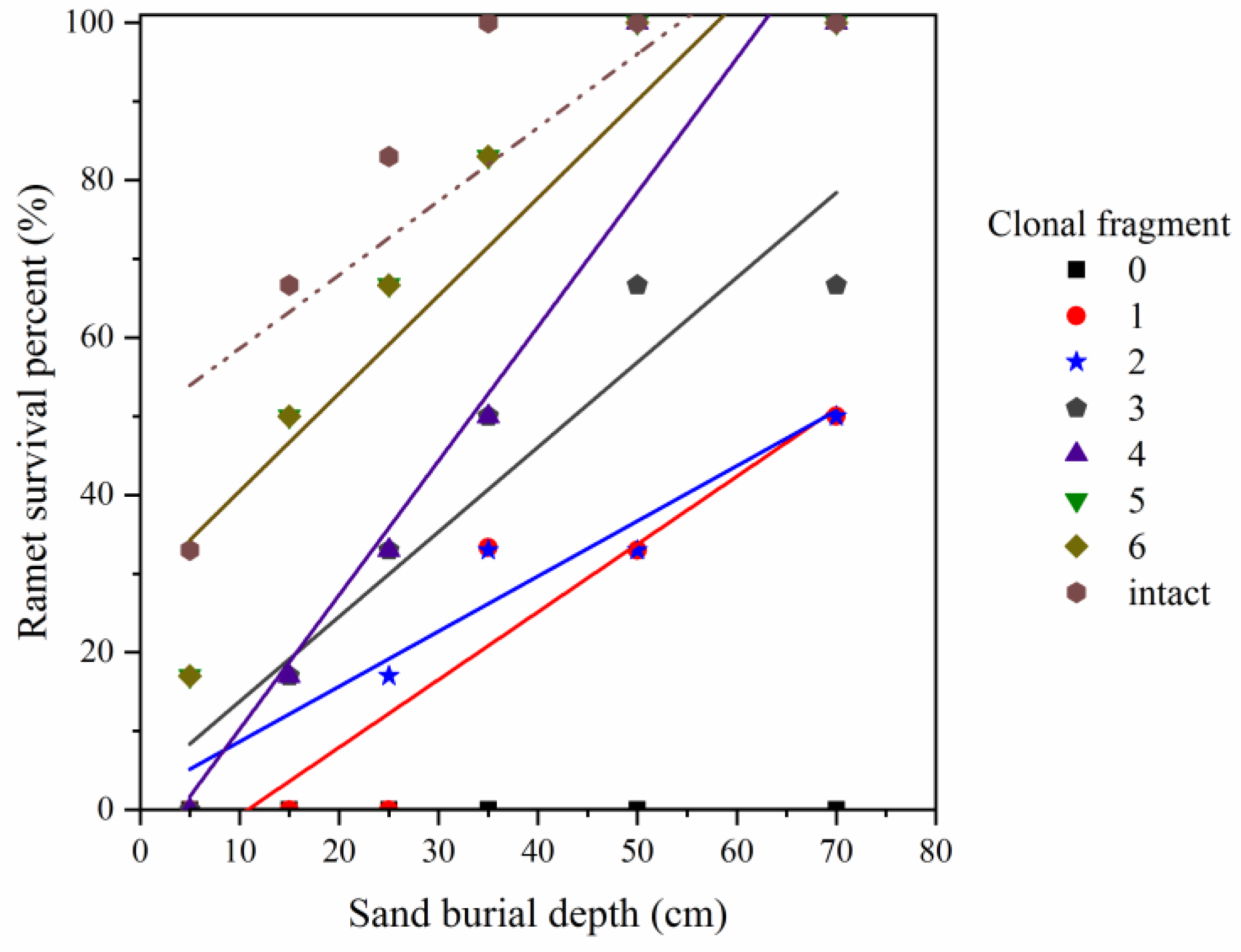 Plants 11 03191 g001 Plants 11 03191 g001