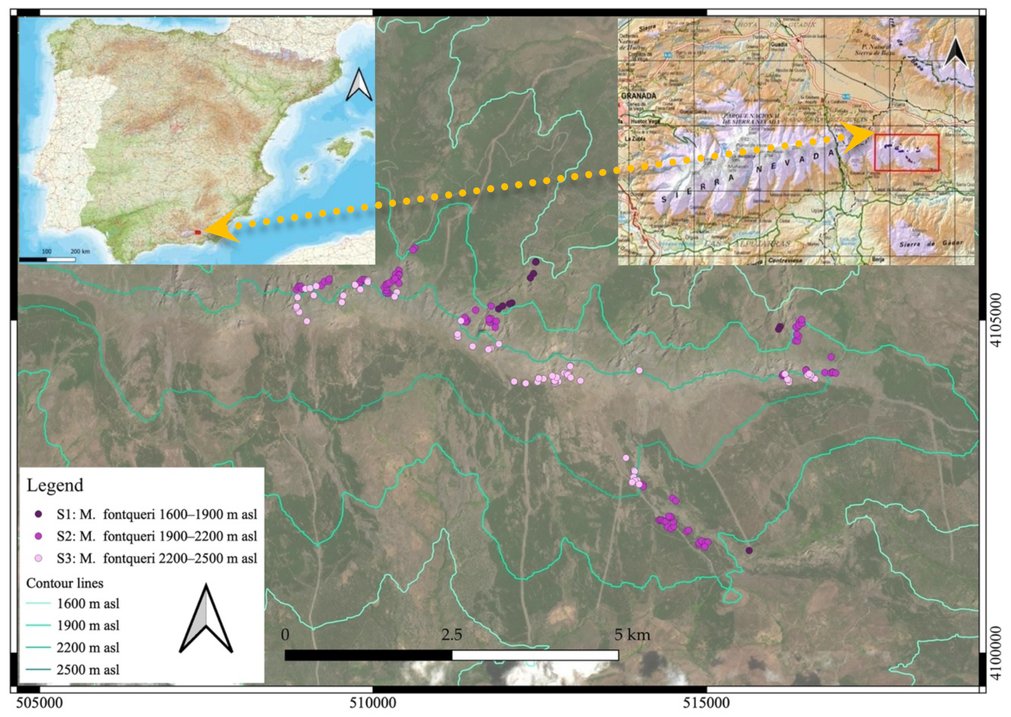 Plants 11 03193 g006 Plants 11 03193 g006