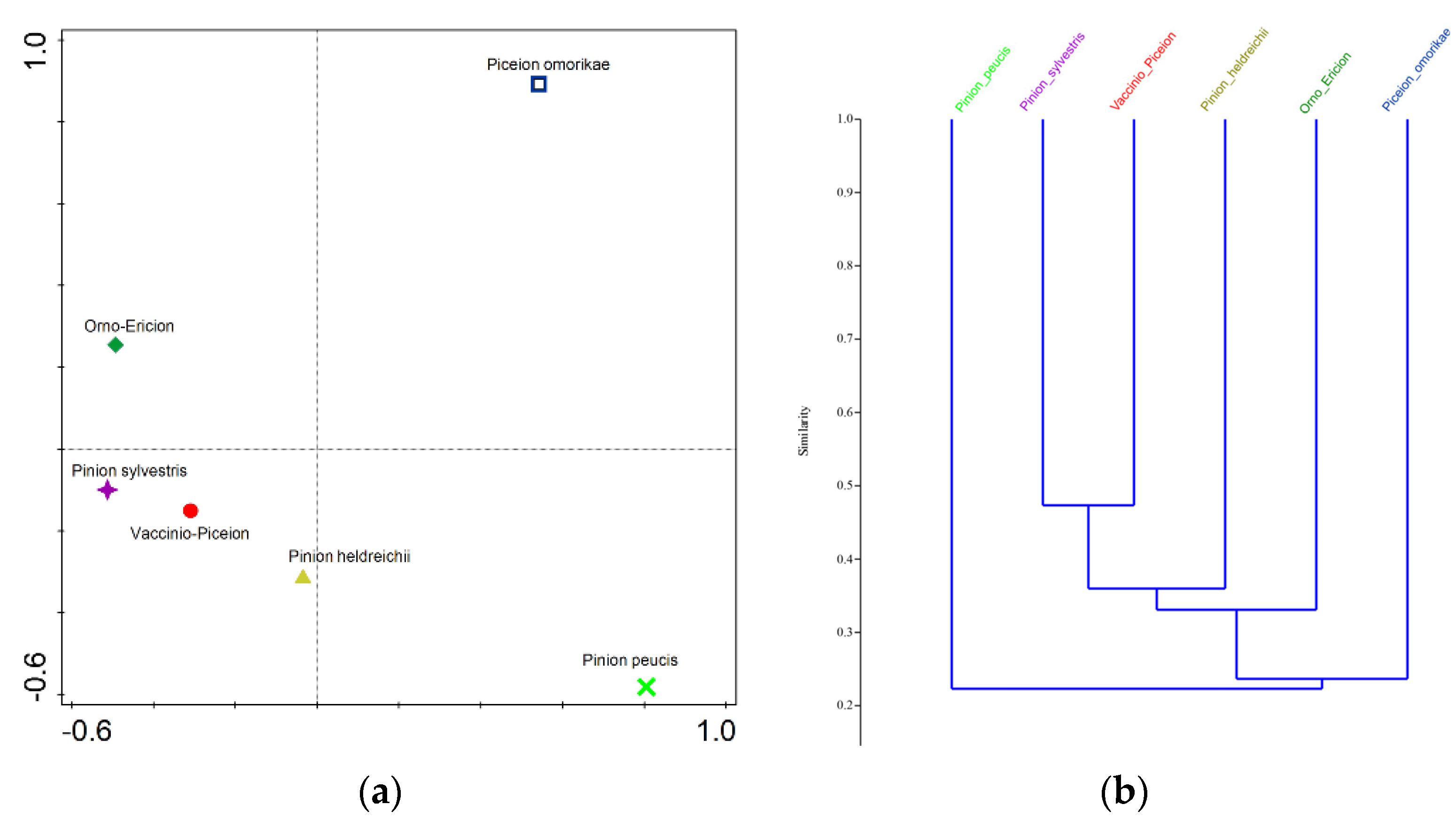 Plants 11 03194 g004