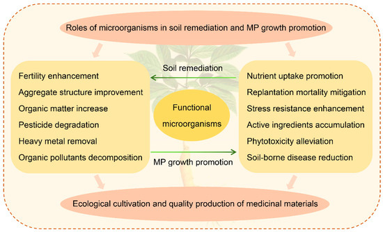 Plants | Free Full-Text | Contributions of Beneficial 