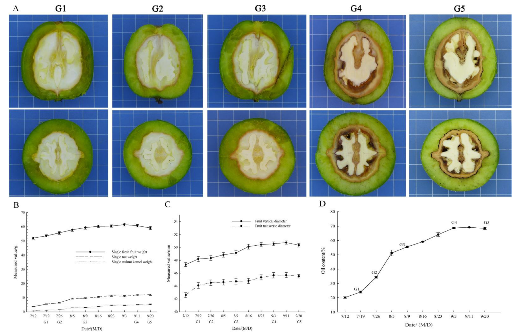 Plants 11 03207 g001