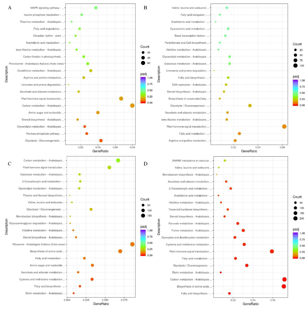 Plants 11 03207 g003