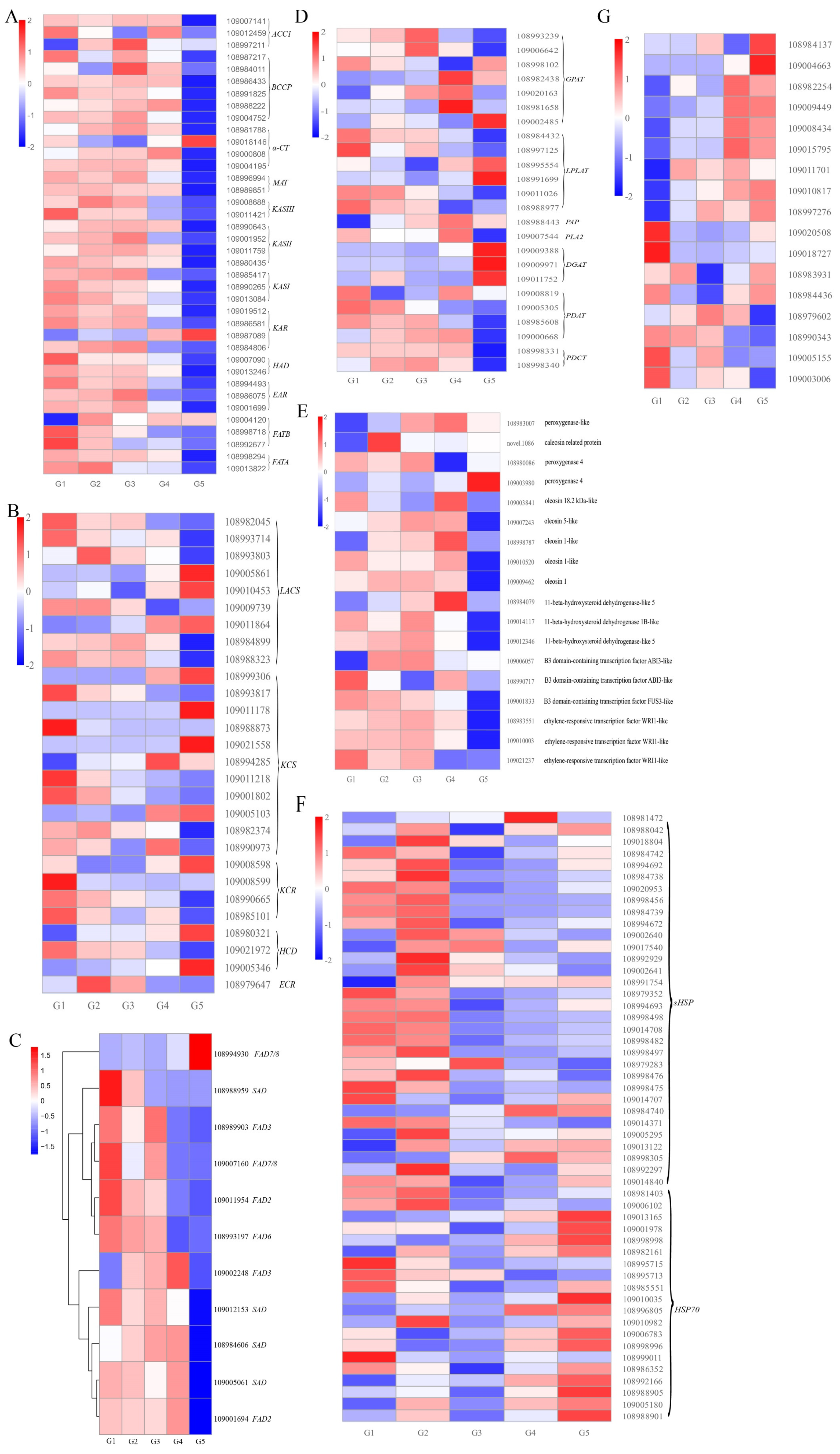 Plants 11 03207 g004
